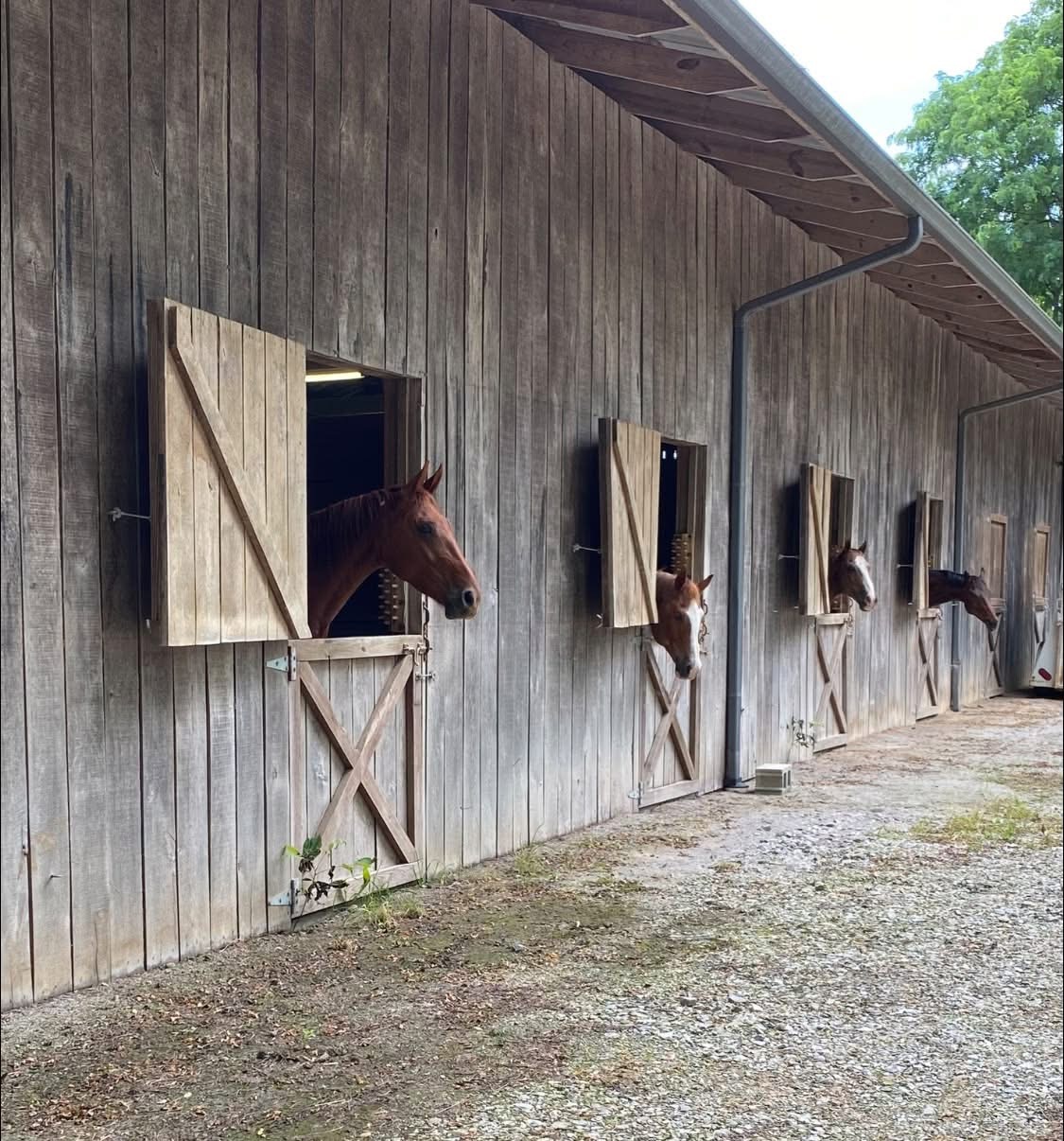 Feature Farm