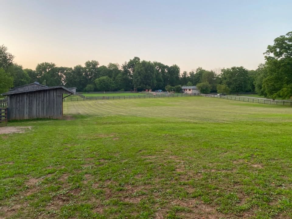 Field