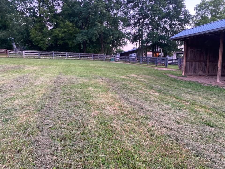 Field