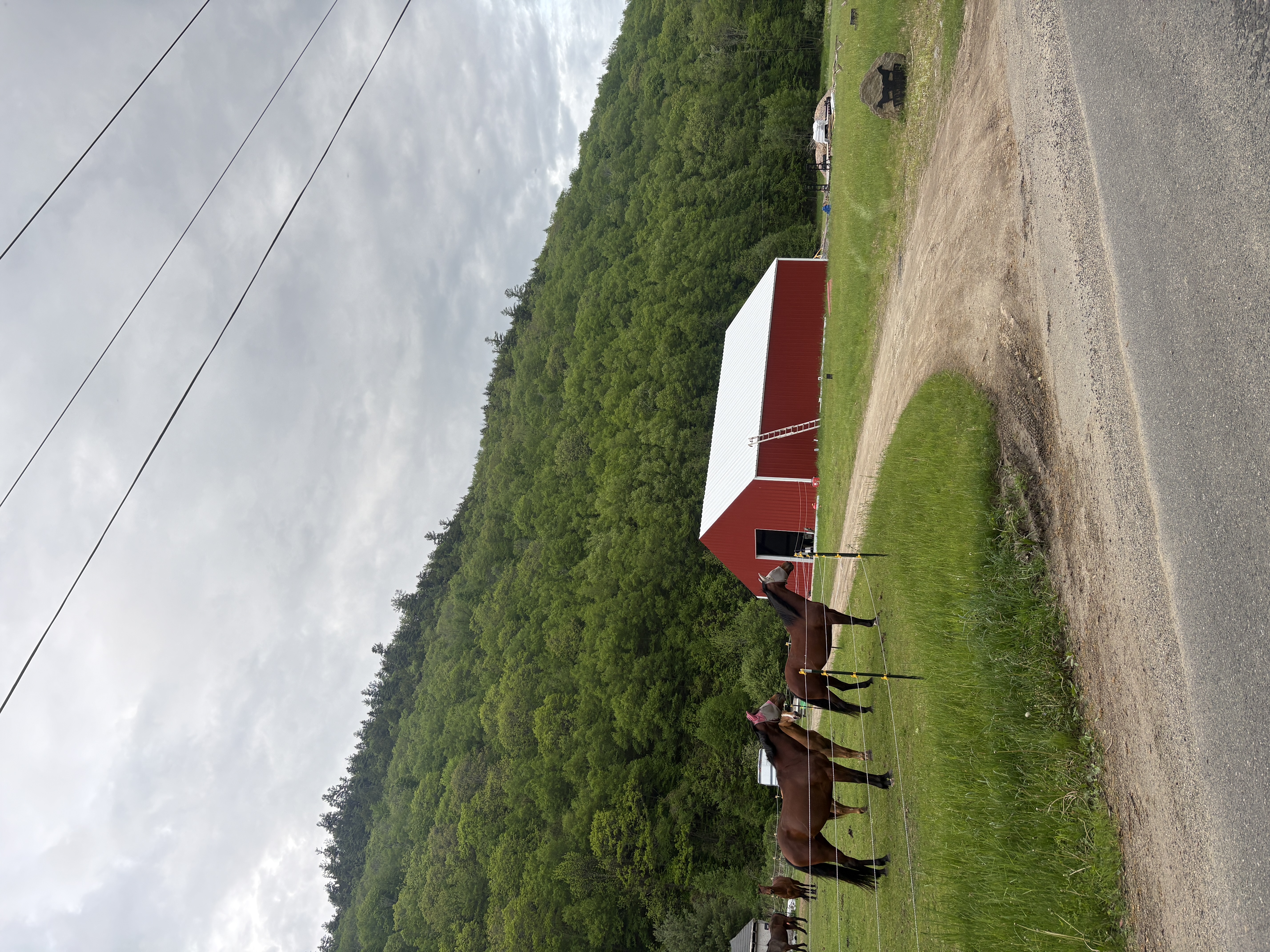 The barn