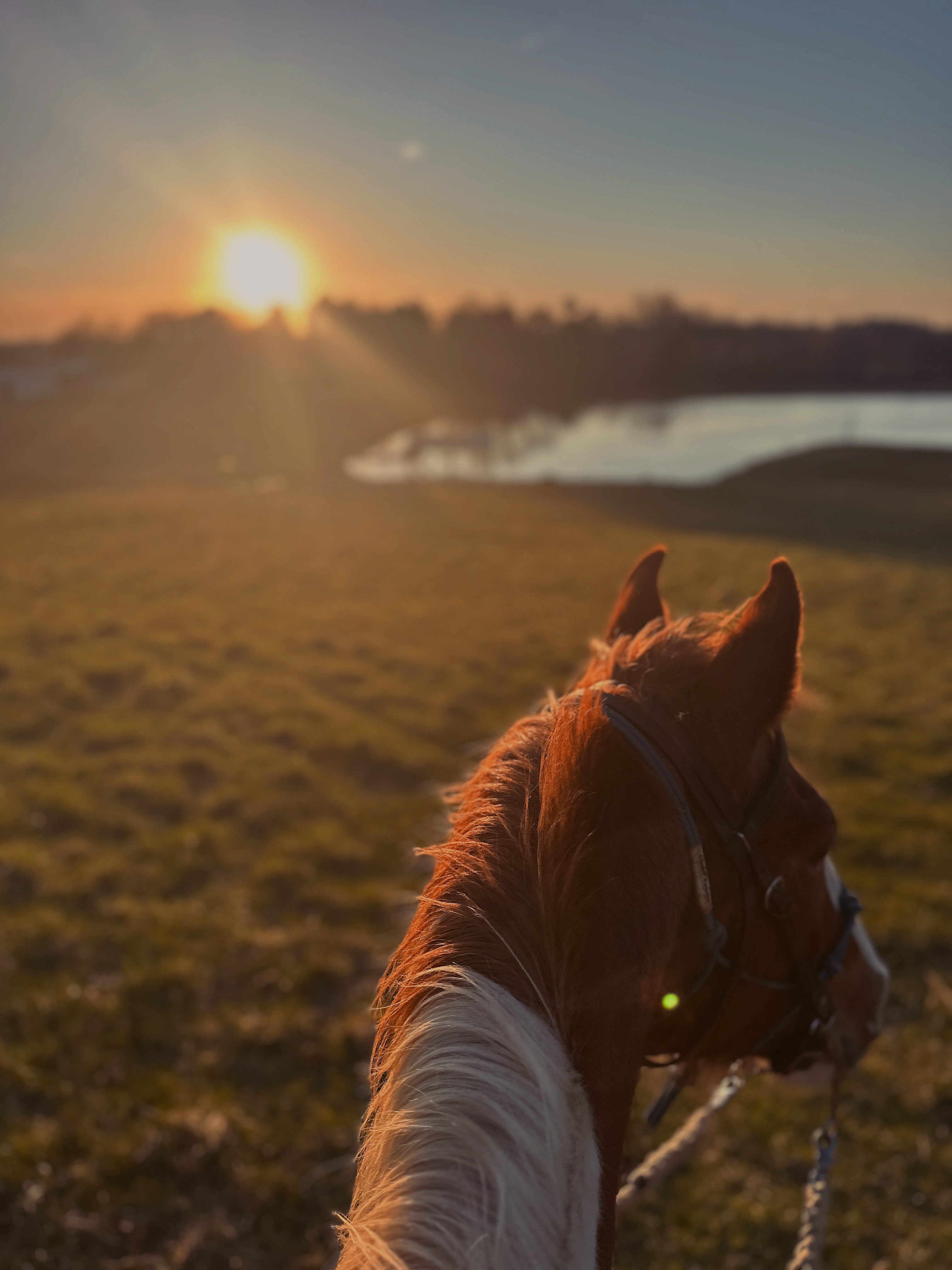 Caspian at Sunset