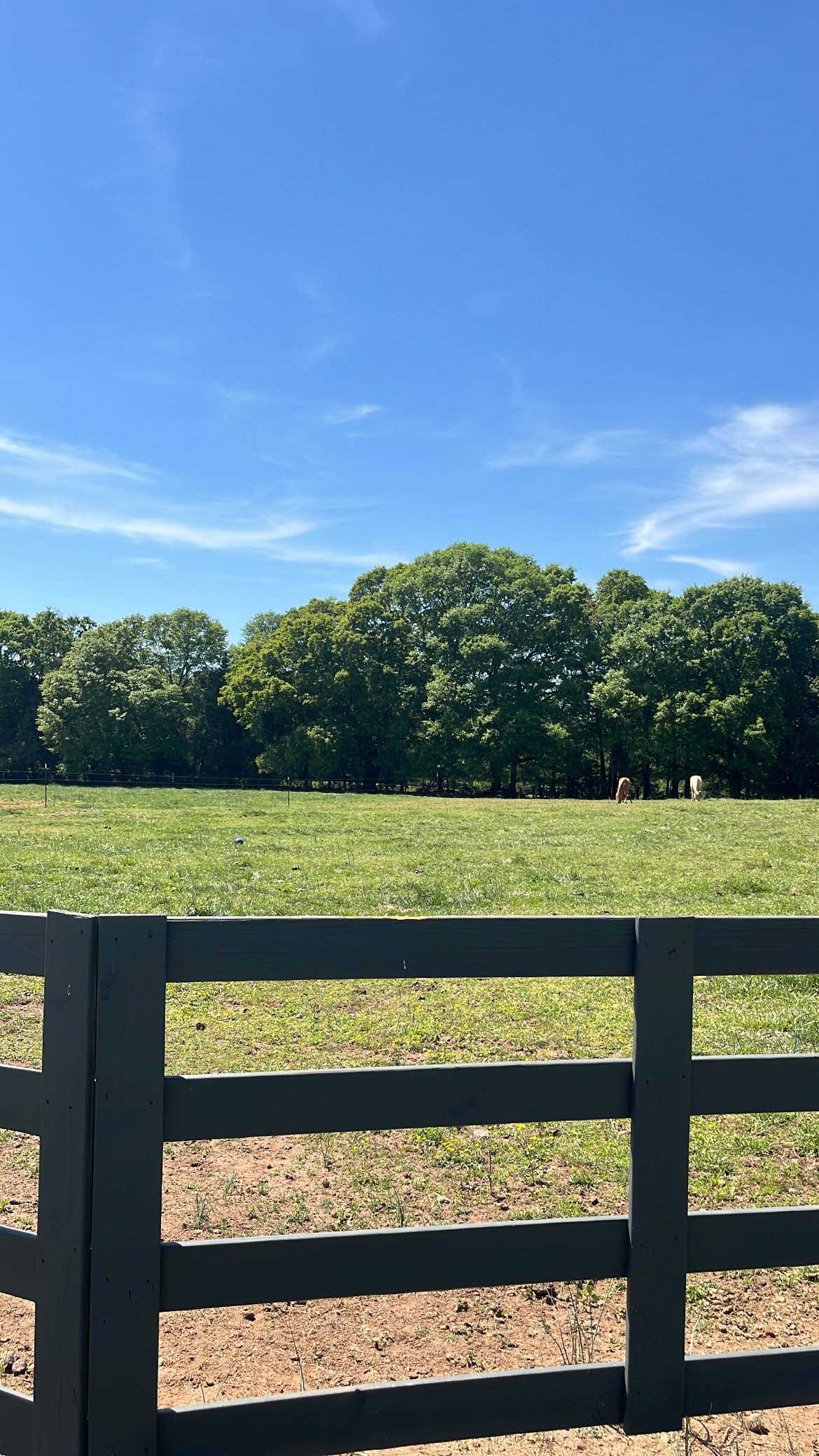 Open pasture!