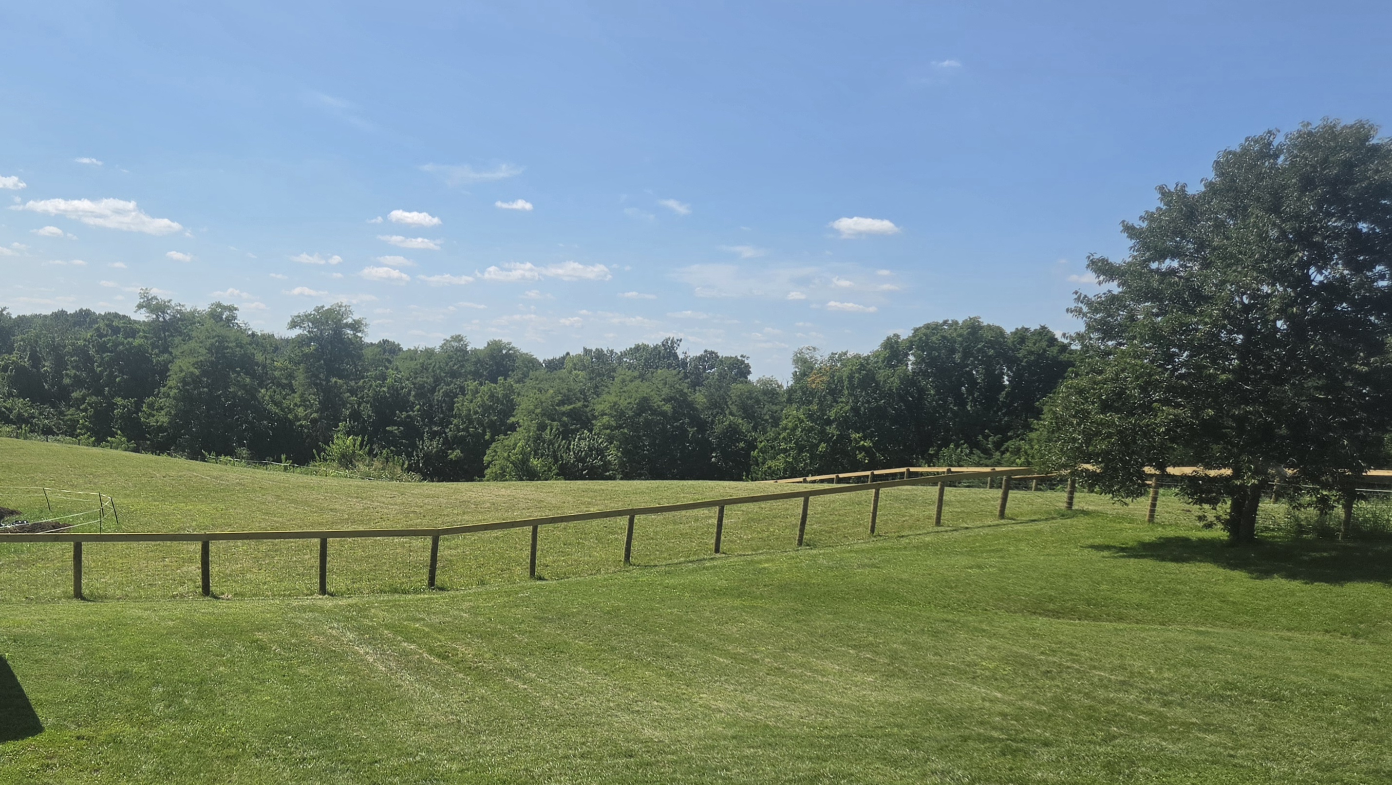 Pasture