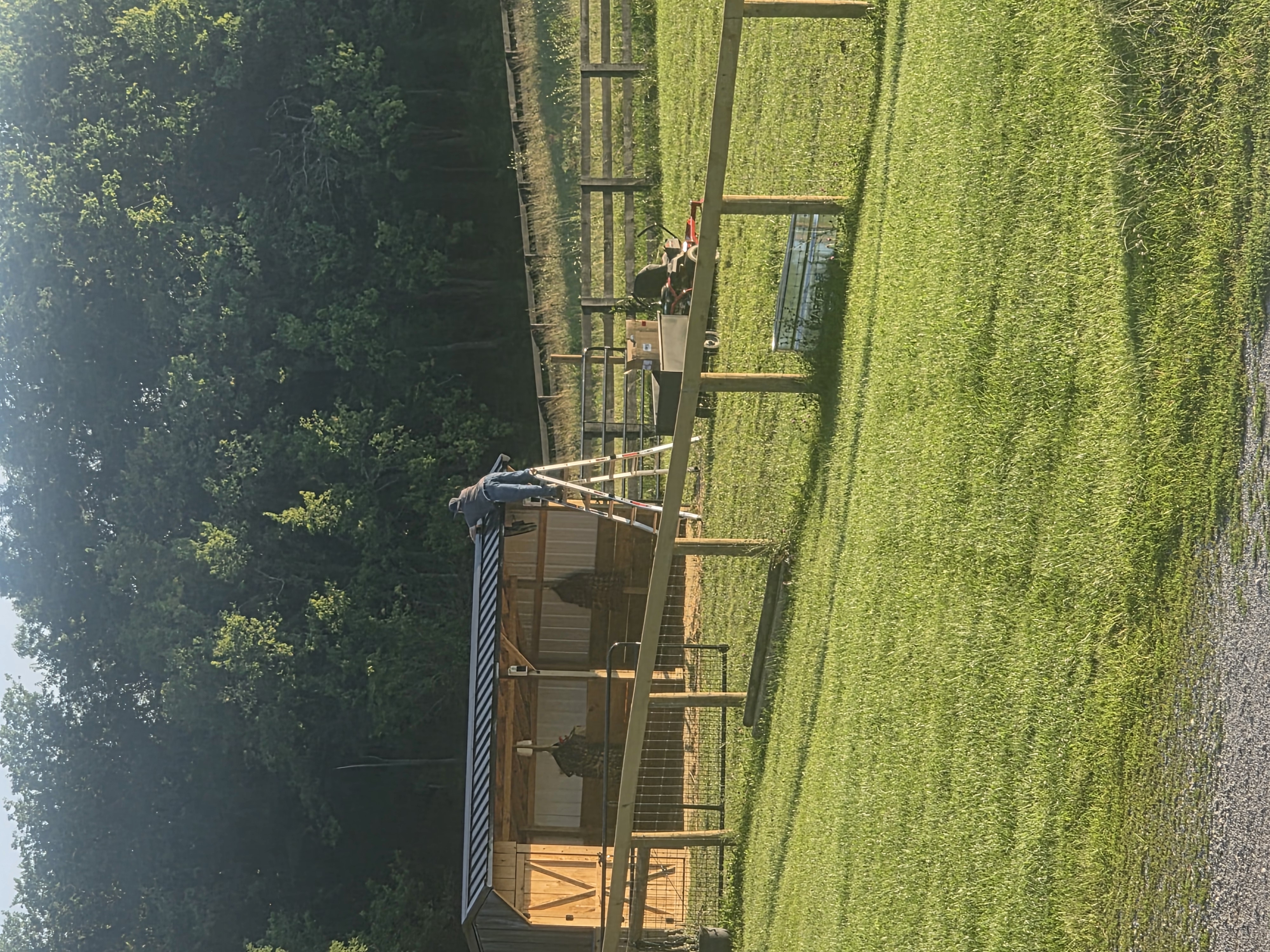 Run in pasture 2