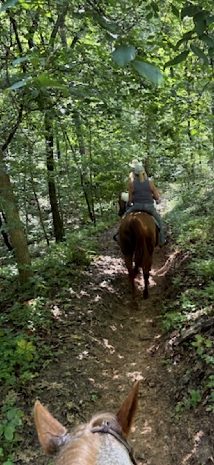 Trails