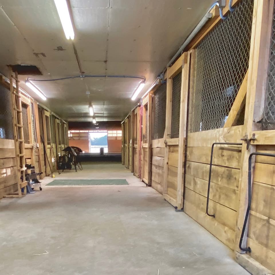 Stalls cleaned daily and water freshened daily