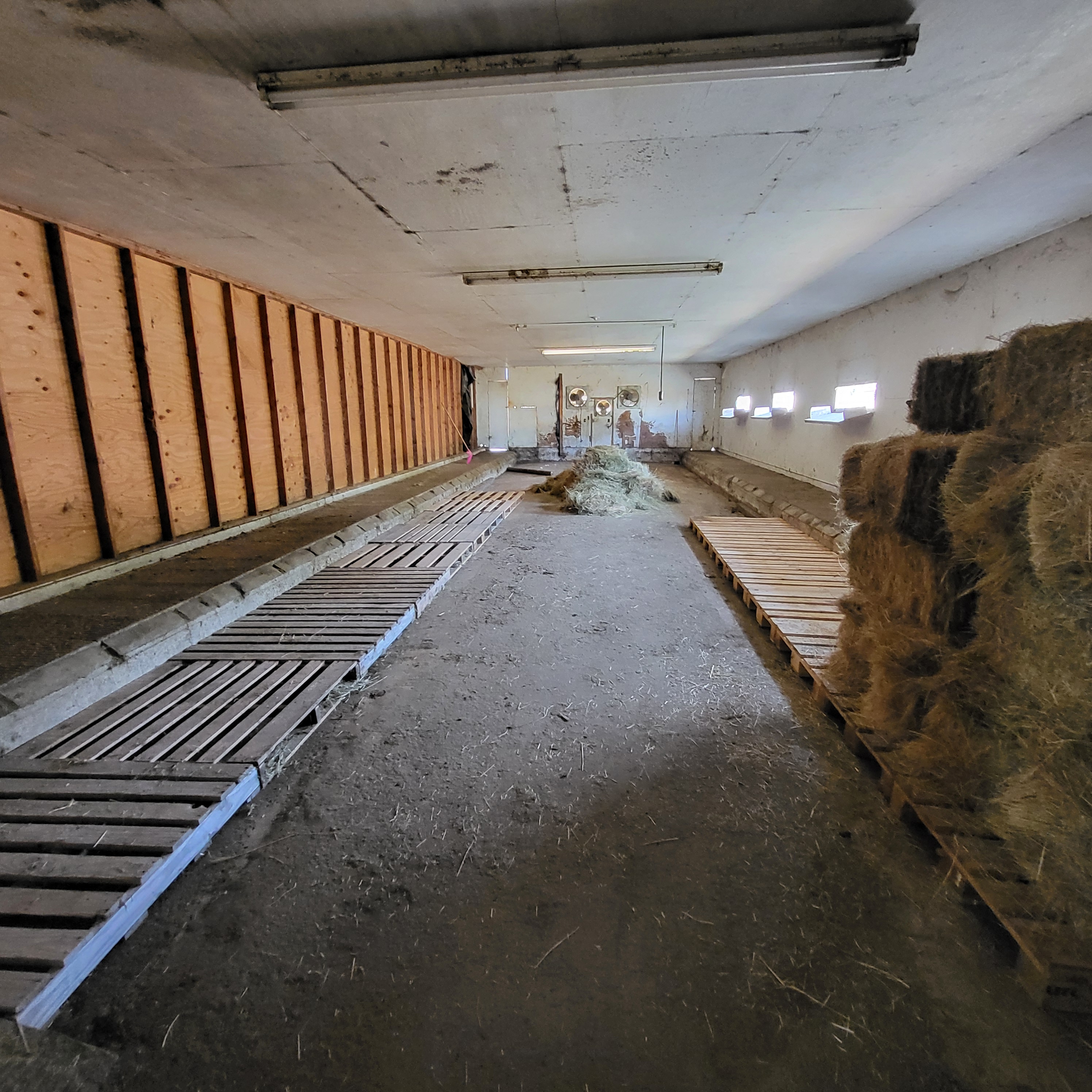 Hay room