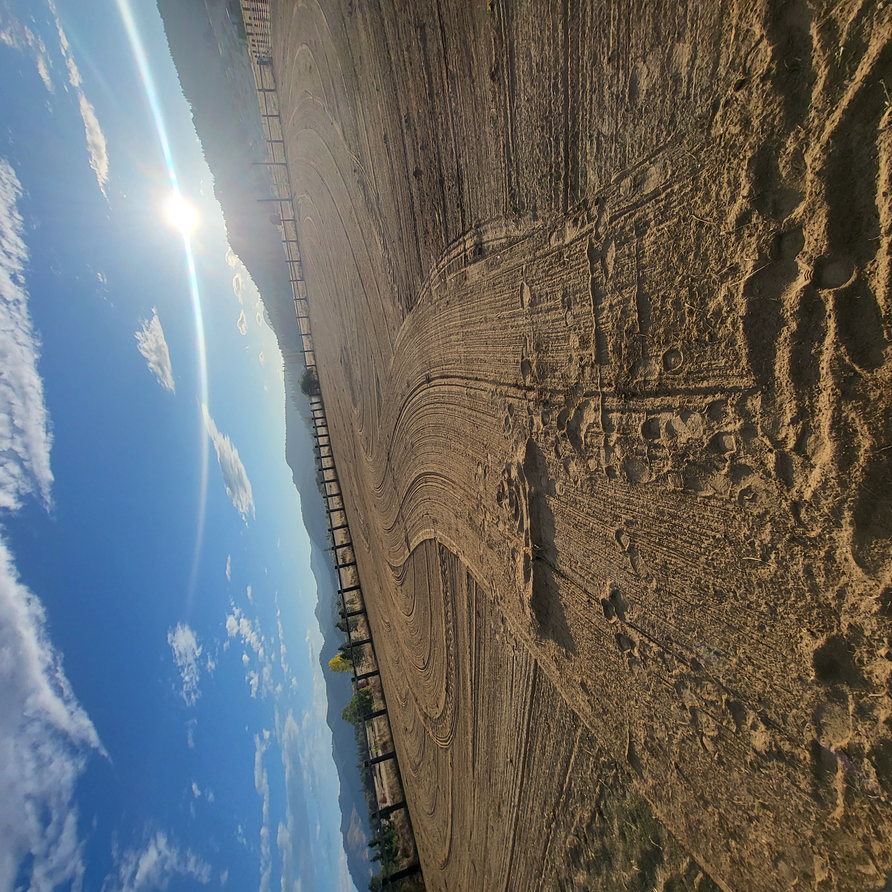 Arena