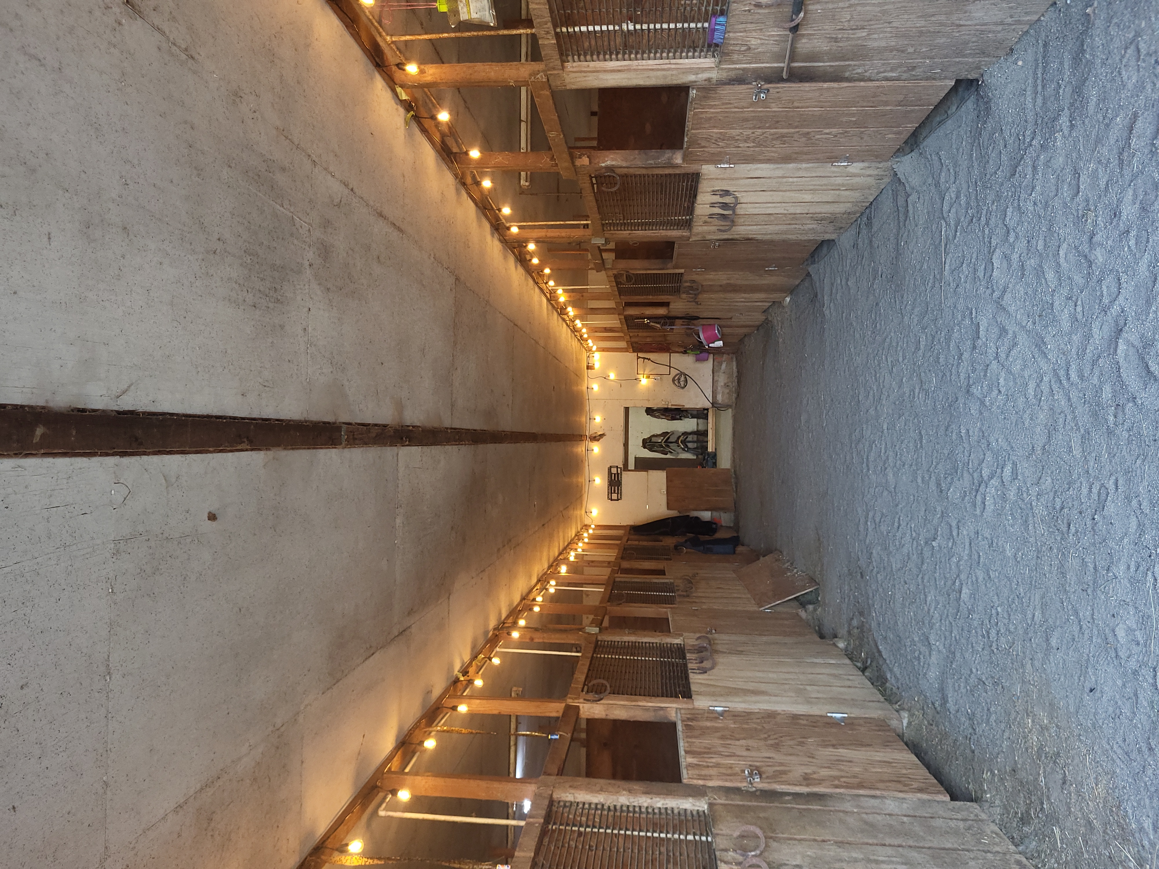 Alley with all 10 stalls