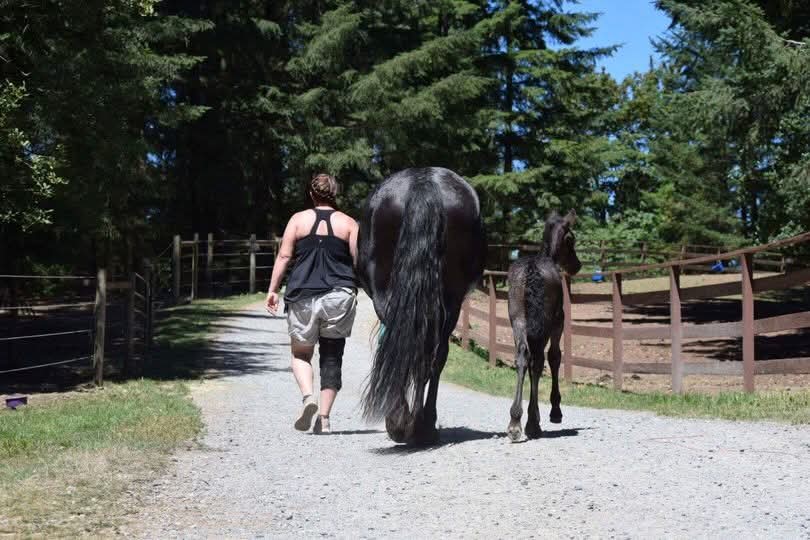 Heading to the barn