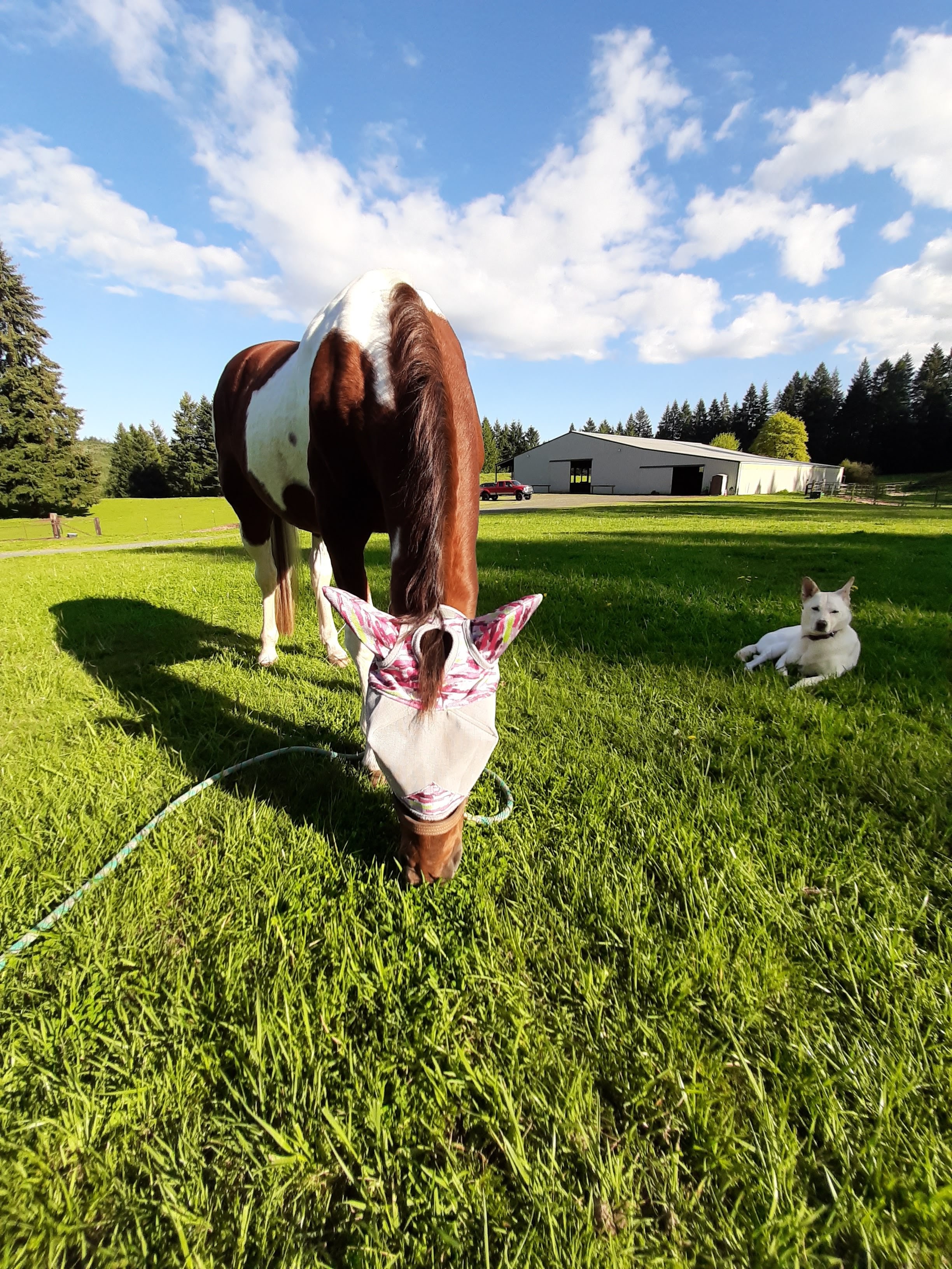 Around the farm