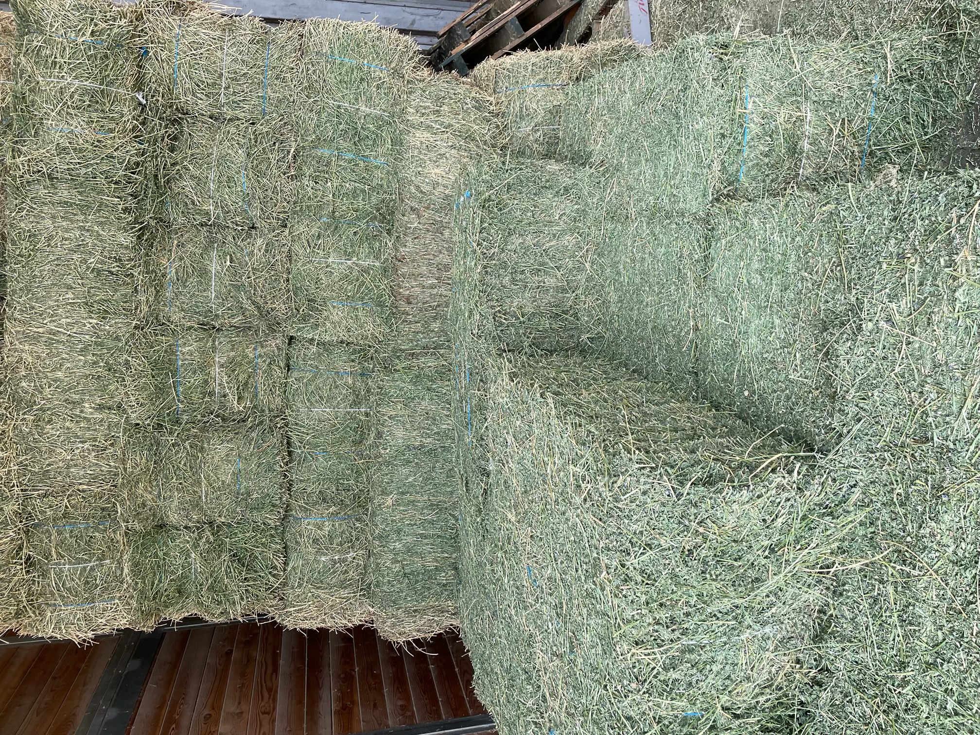 Quality alfalfa and Bermuda included orchard
