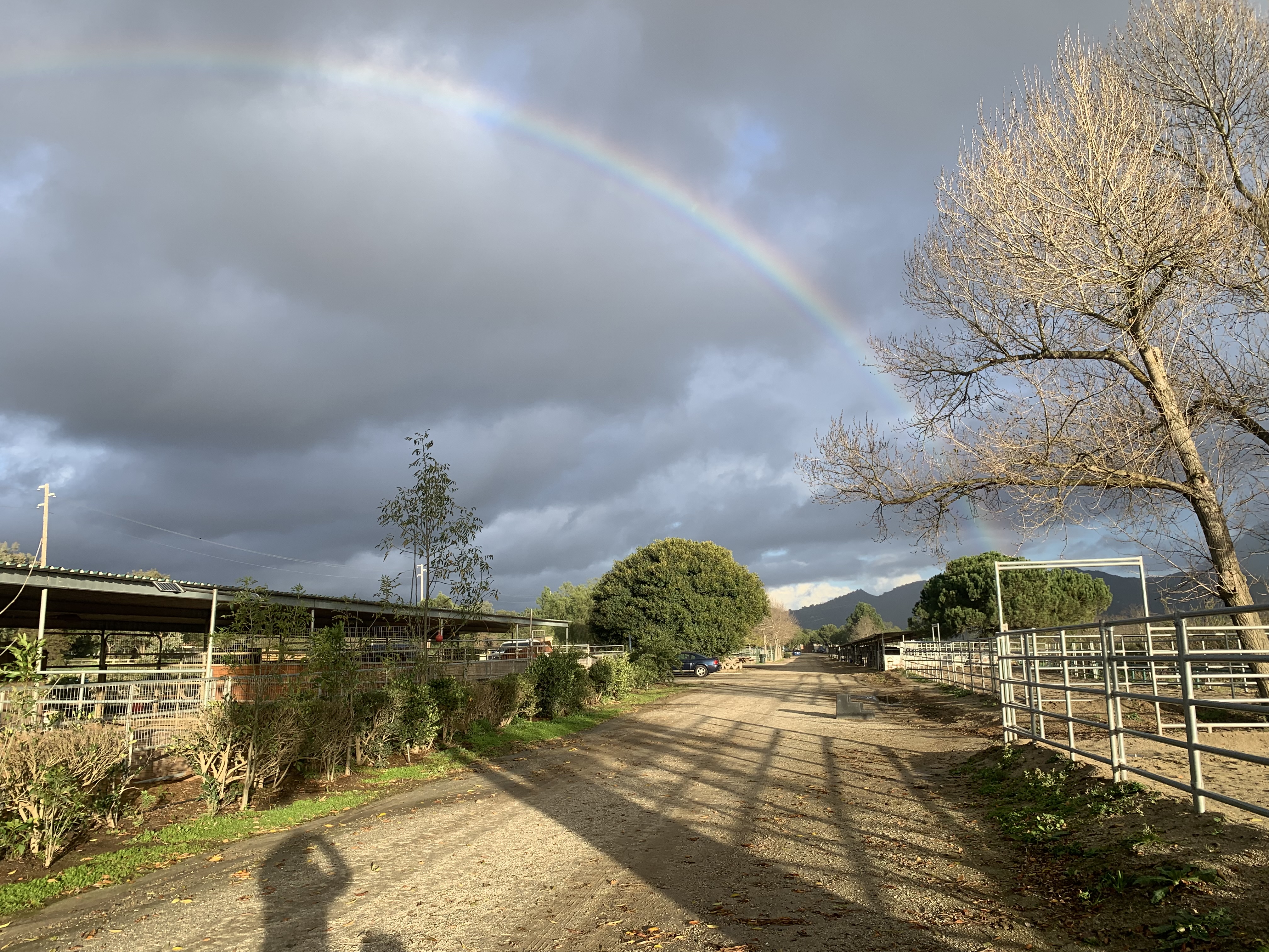 Ride into the rainbow!