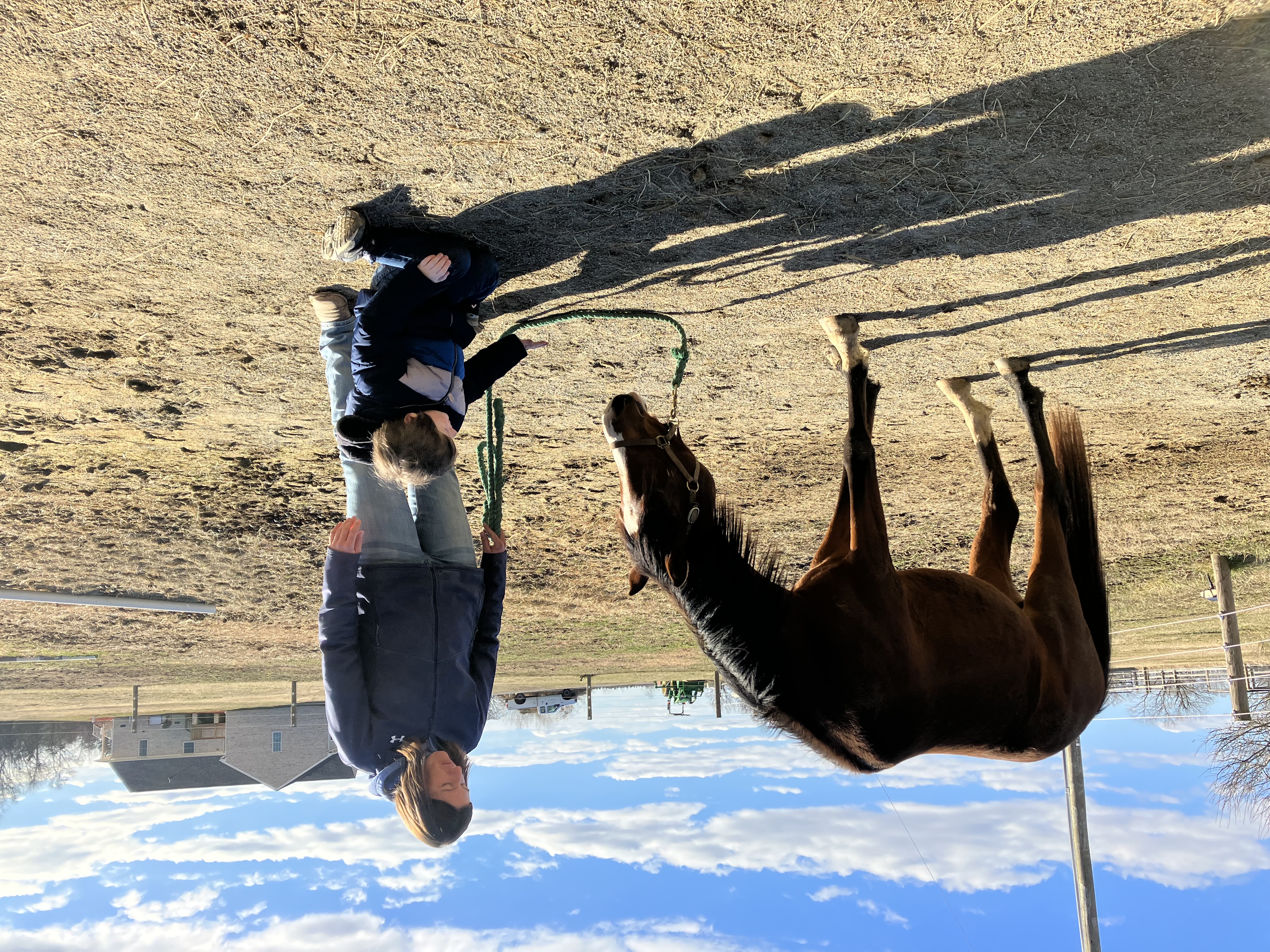 A place where one learns how young colts are friendly
