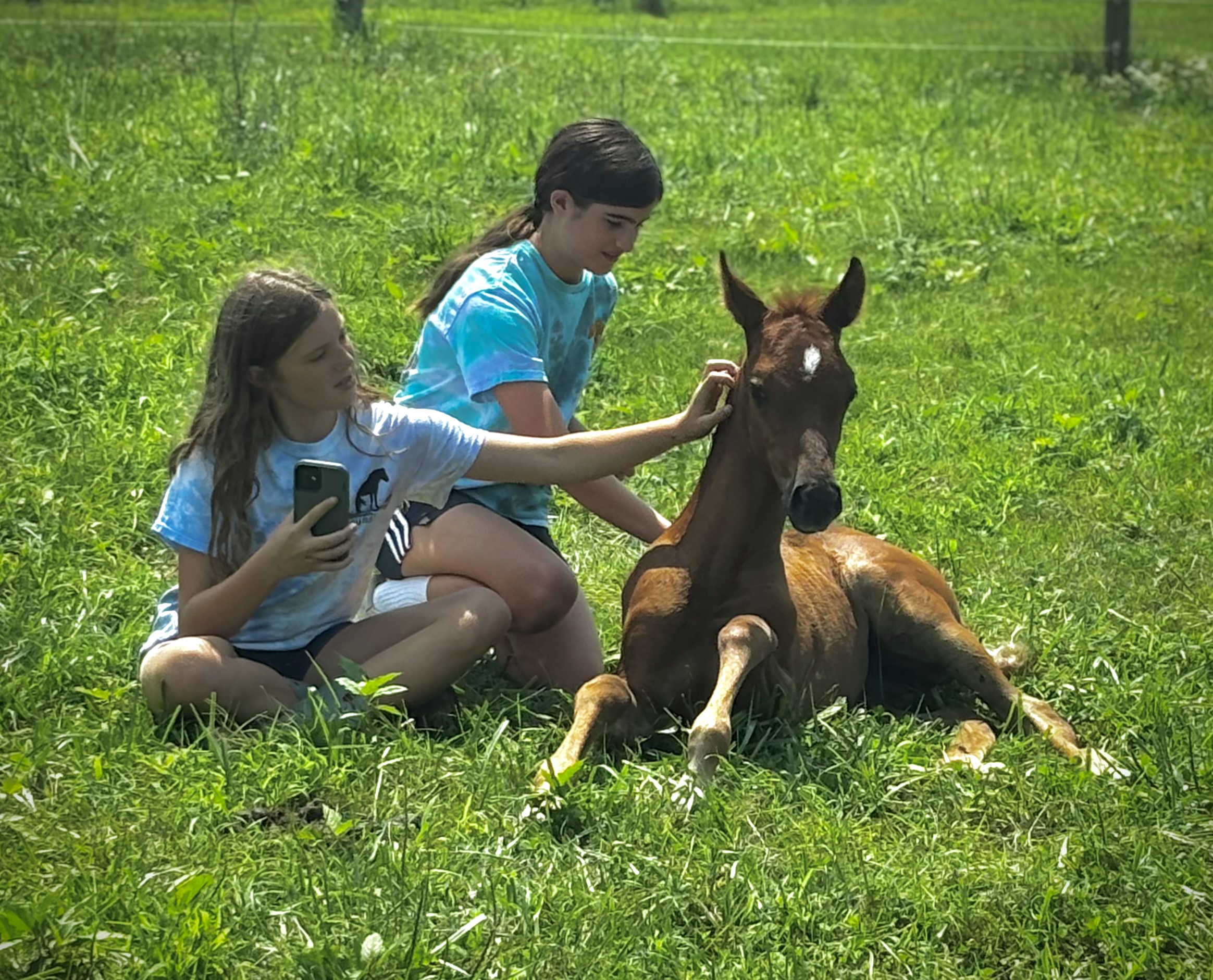 A place for youngsters to begin, both horse and human