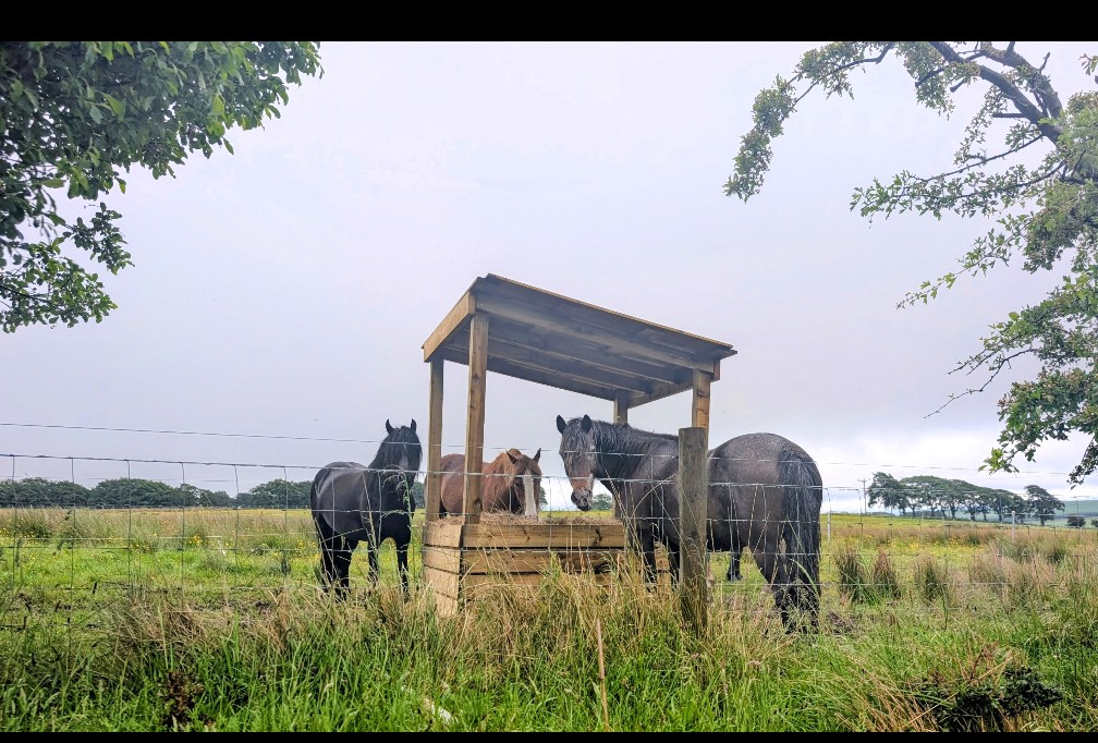 Hay feeder
