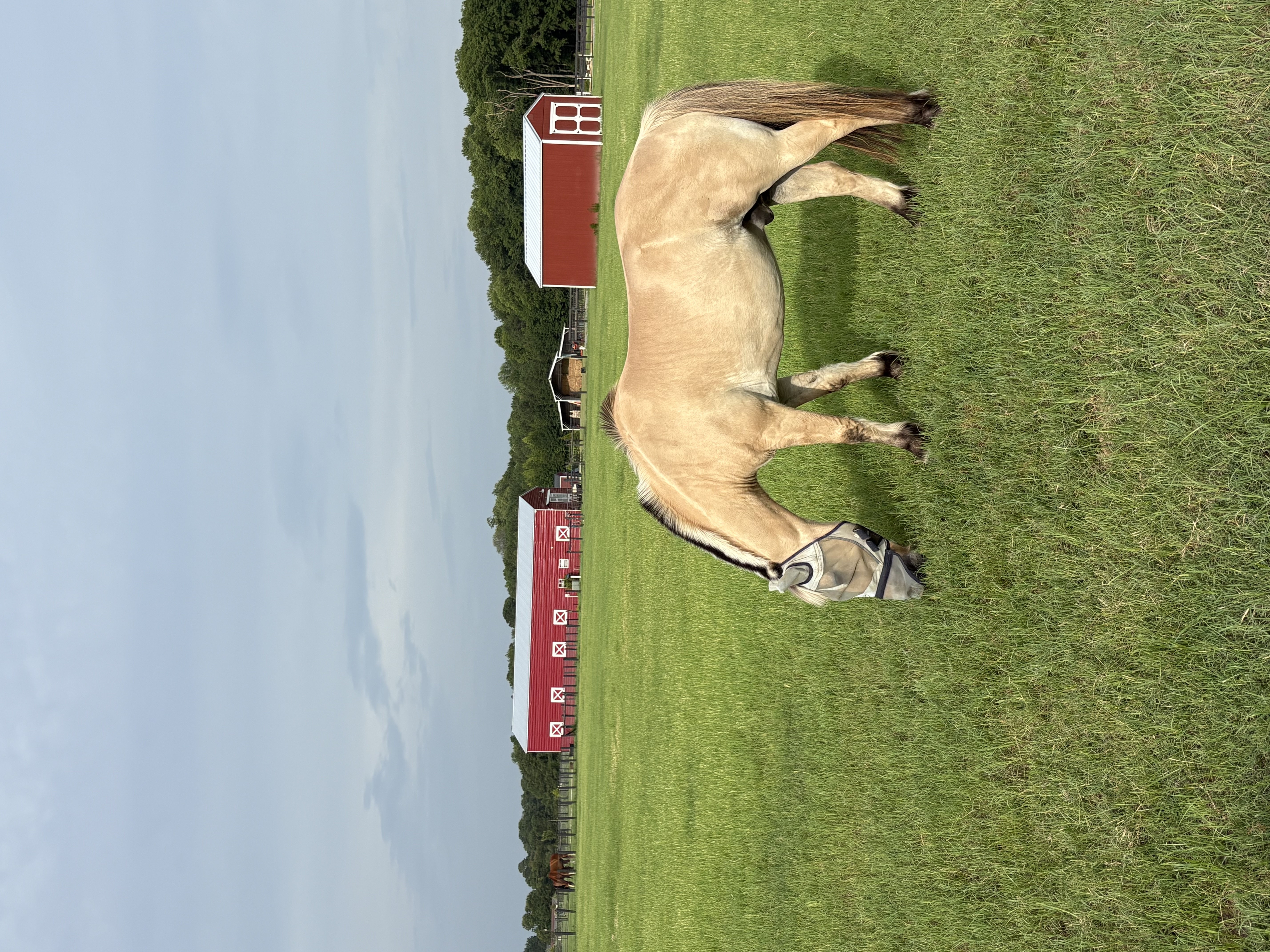 pasture