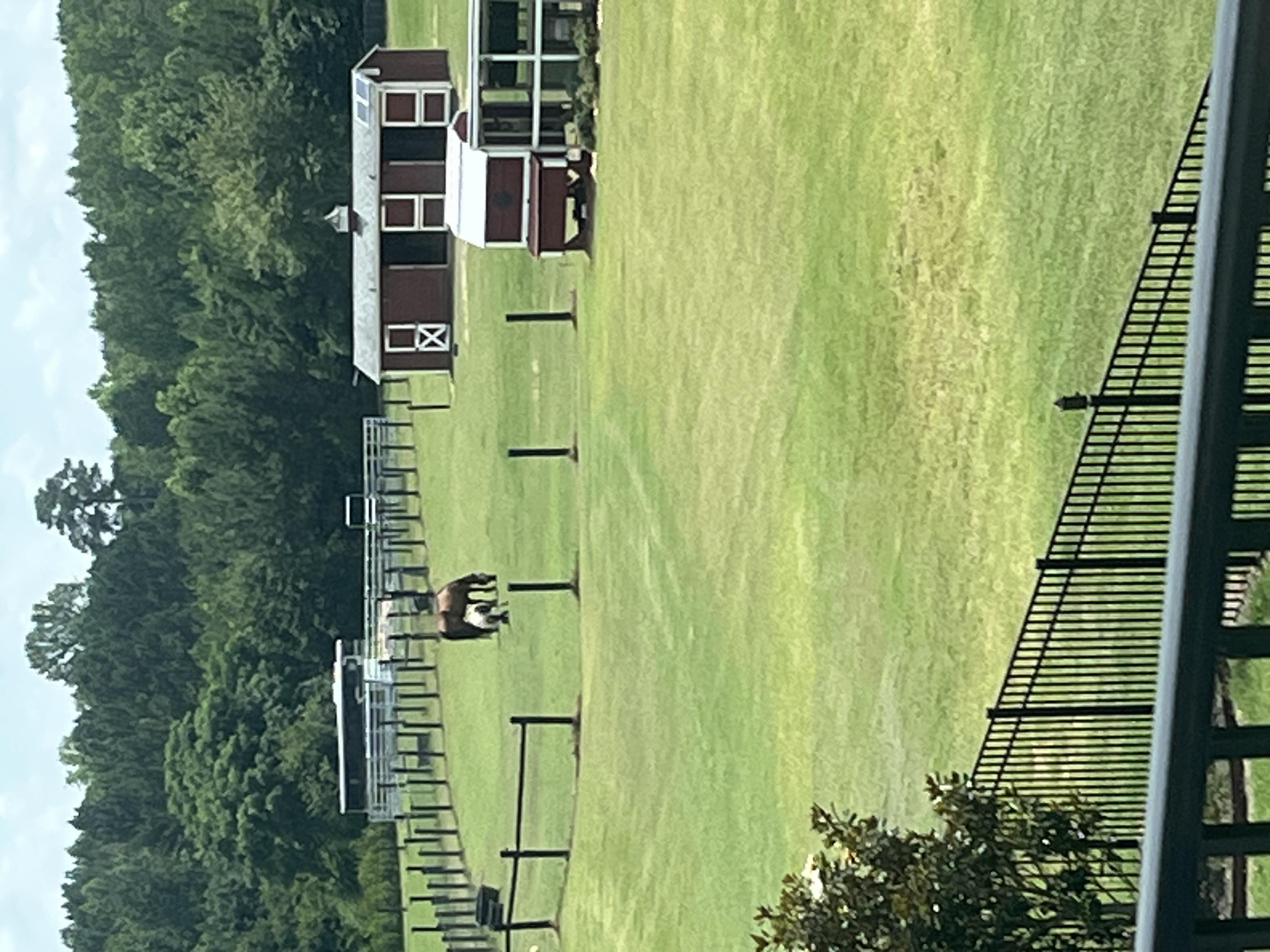 pasture