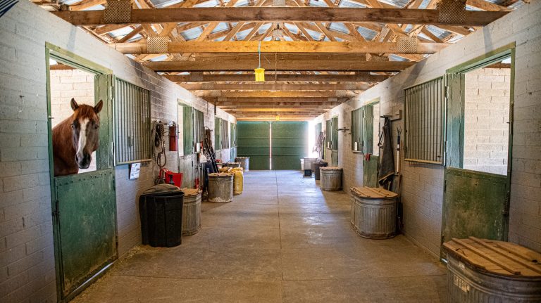Indoor Stalls