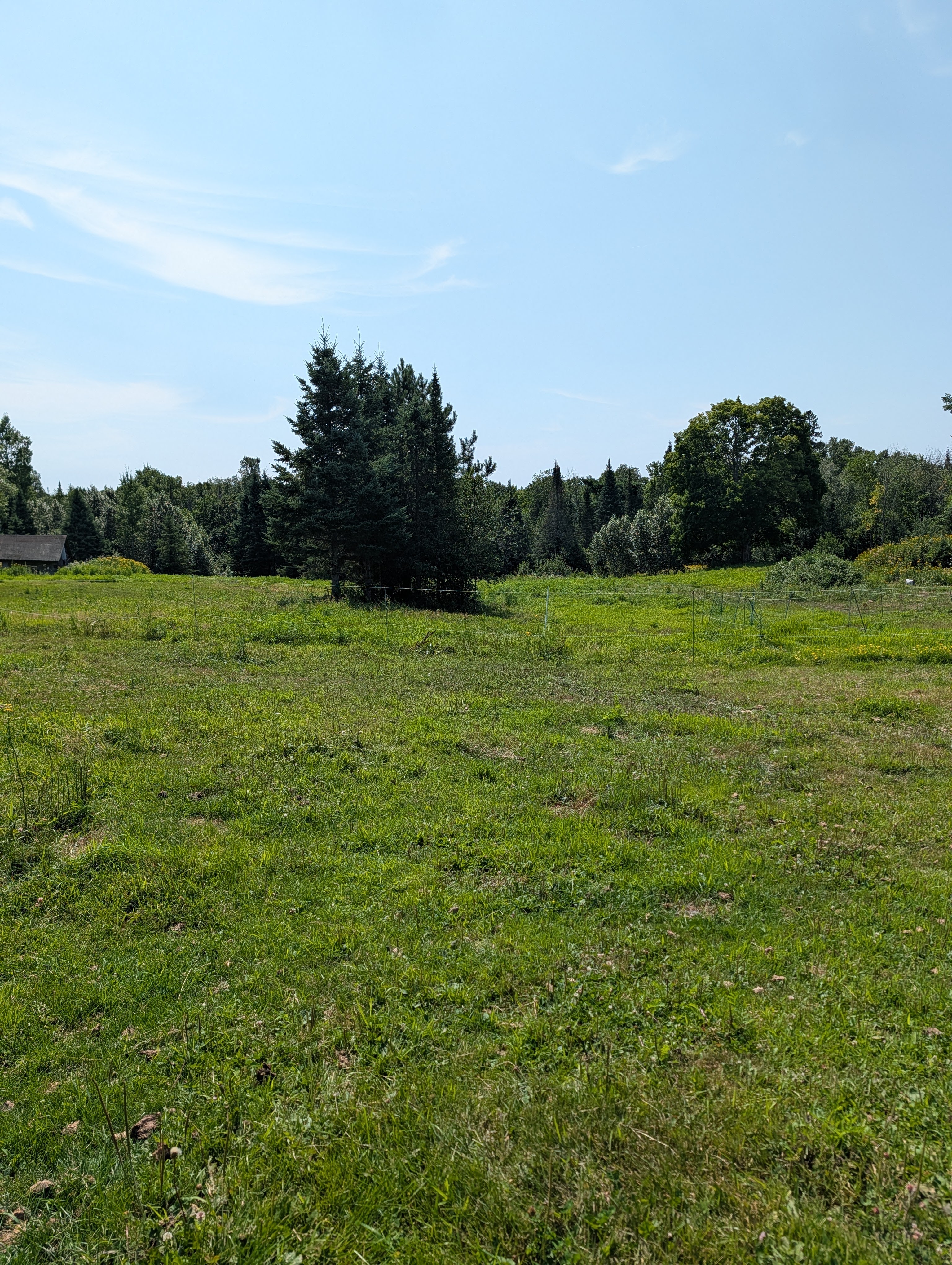 Pasture