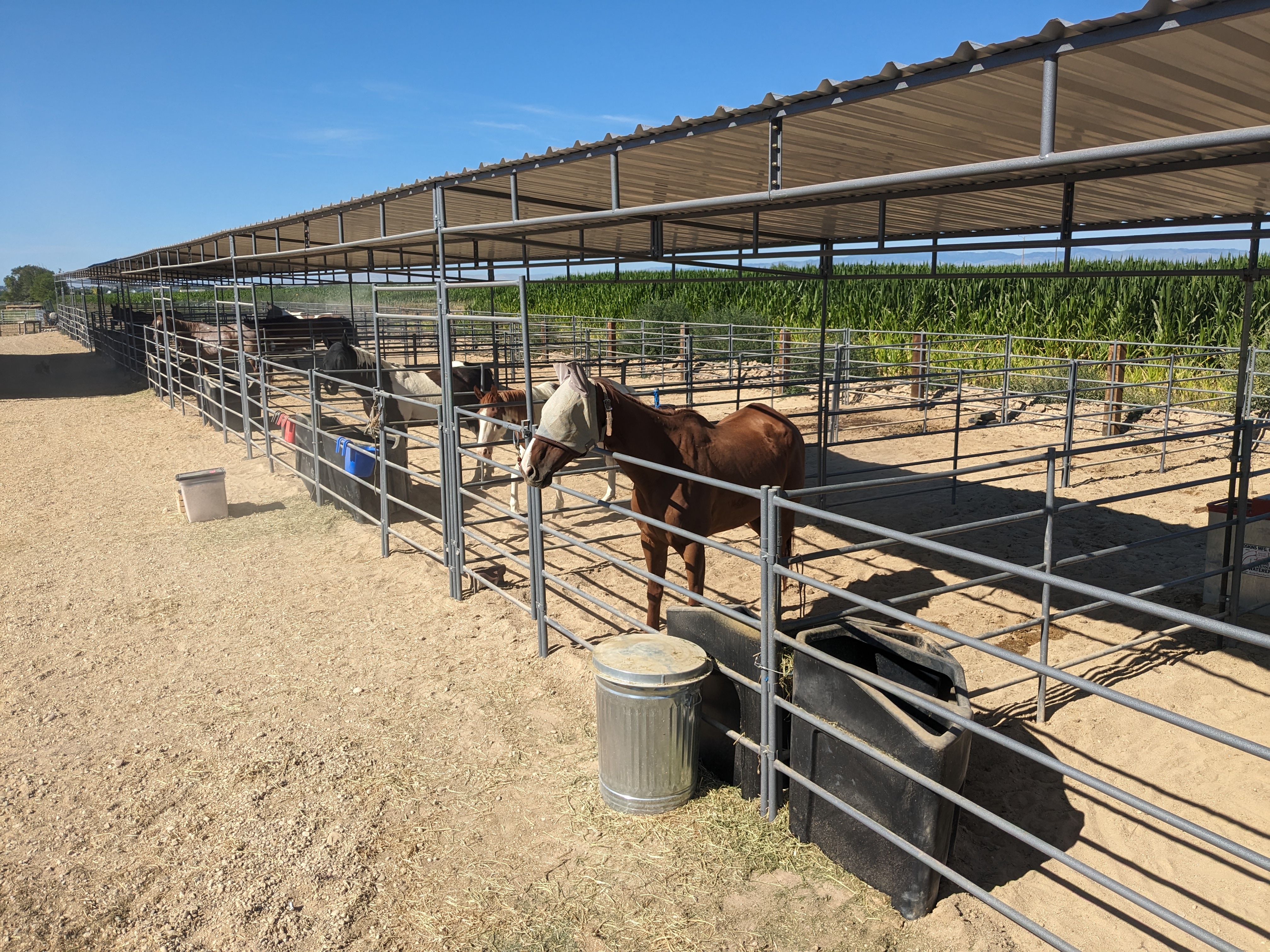 12x36 Covered Stalls