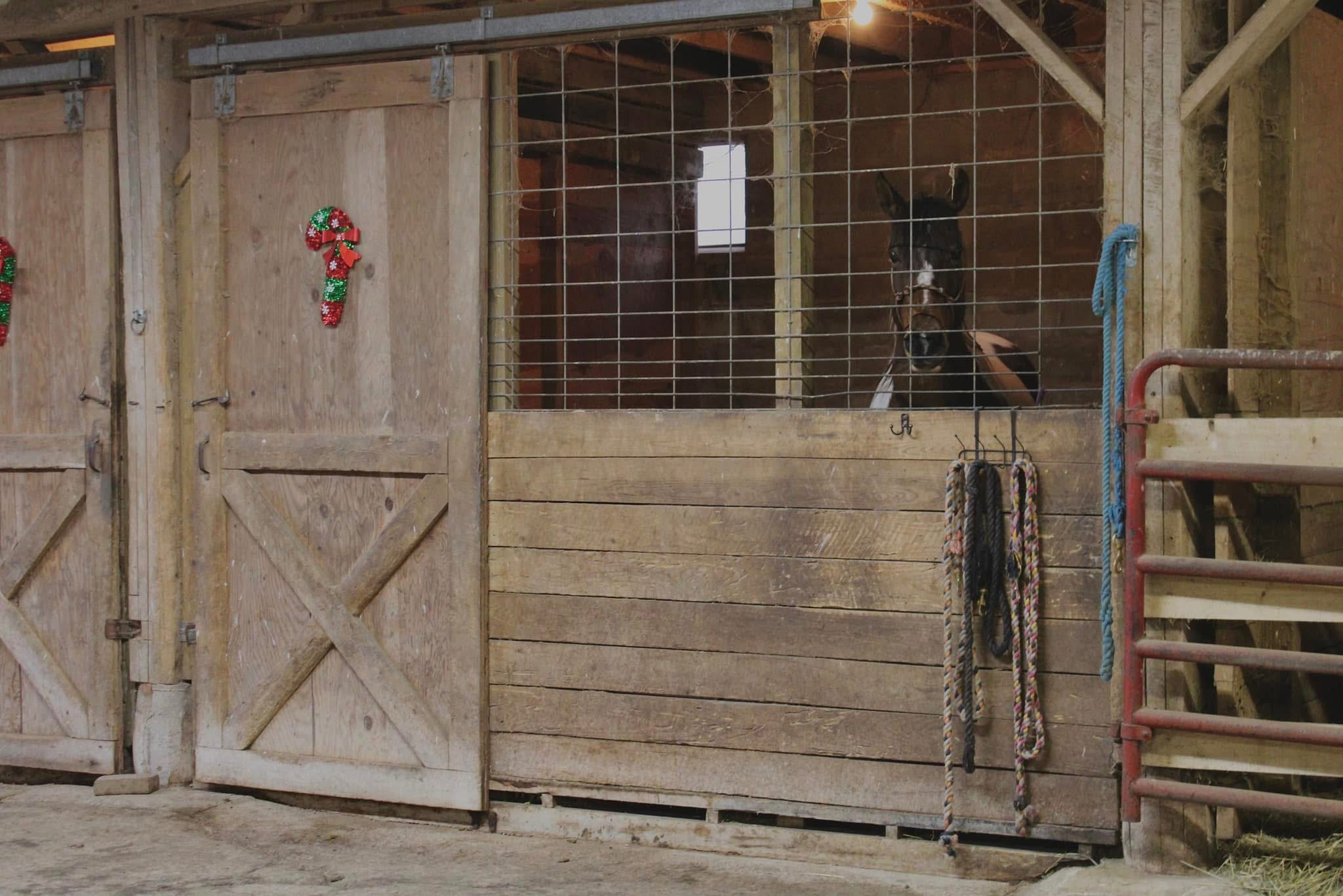 10x10 stall