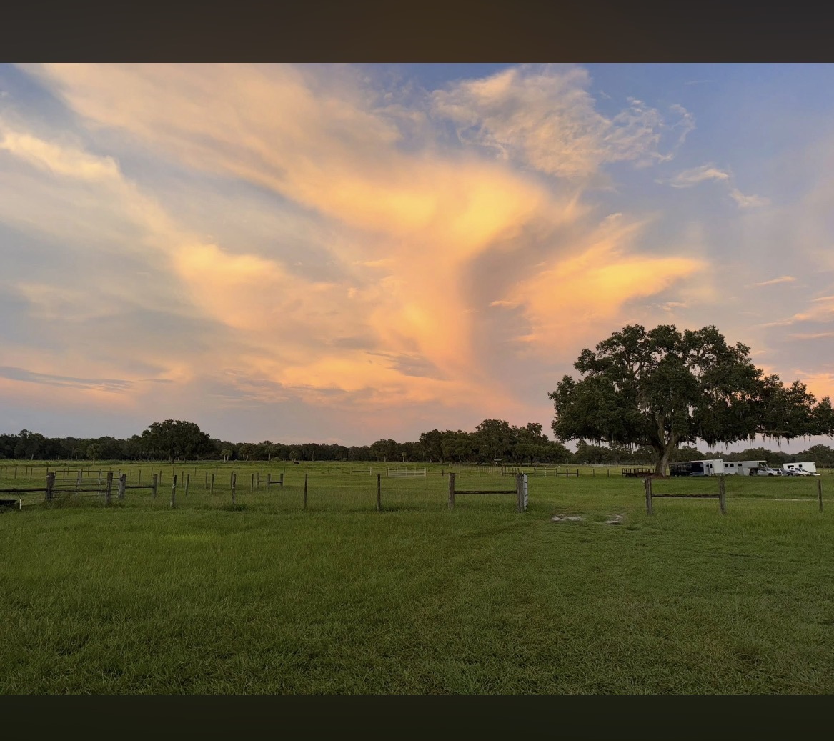 Front field sunset