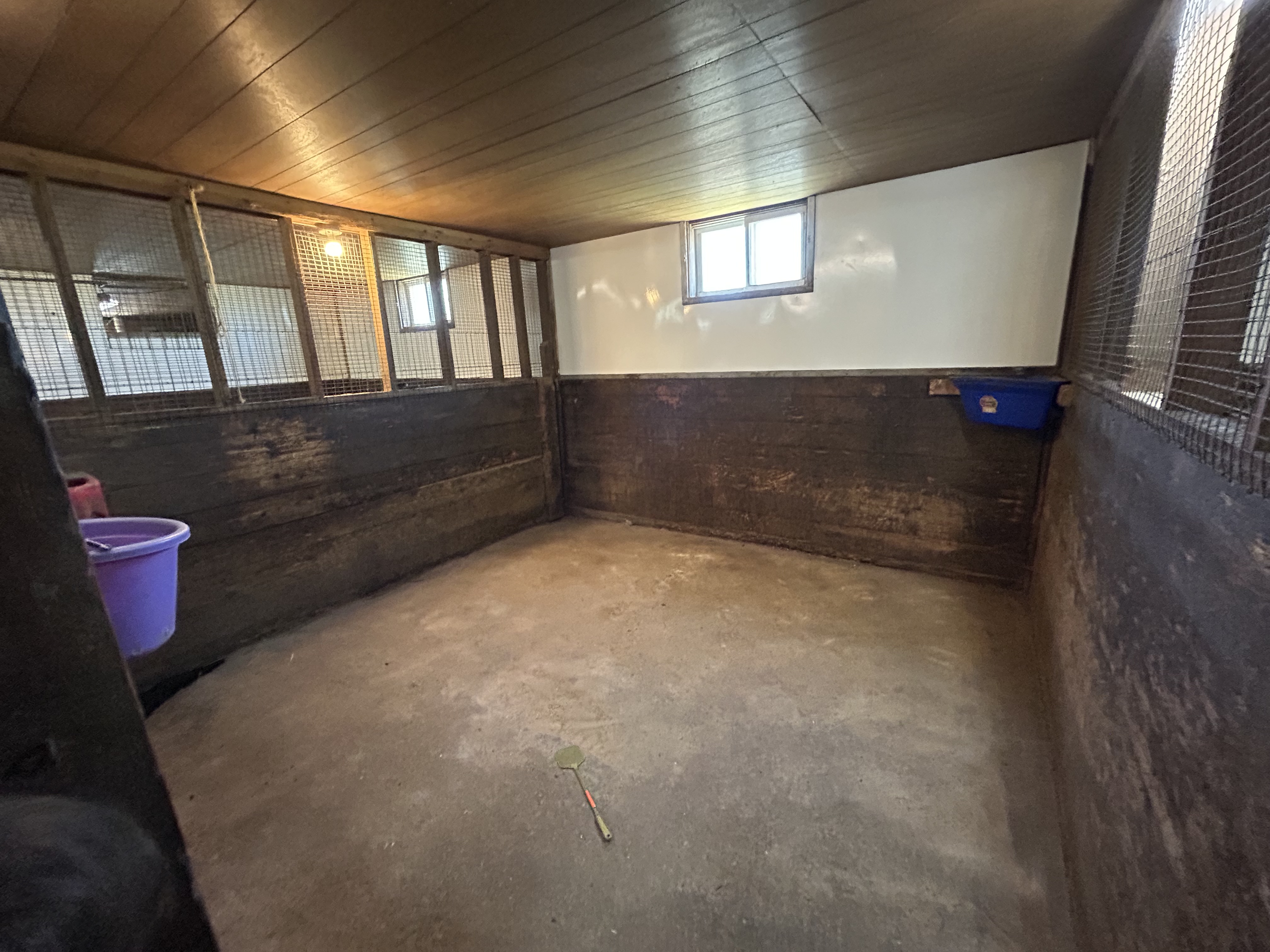 Inside stall