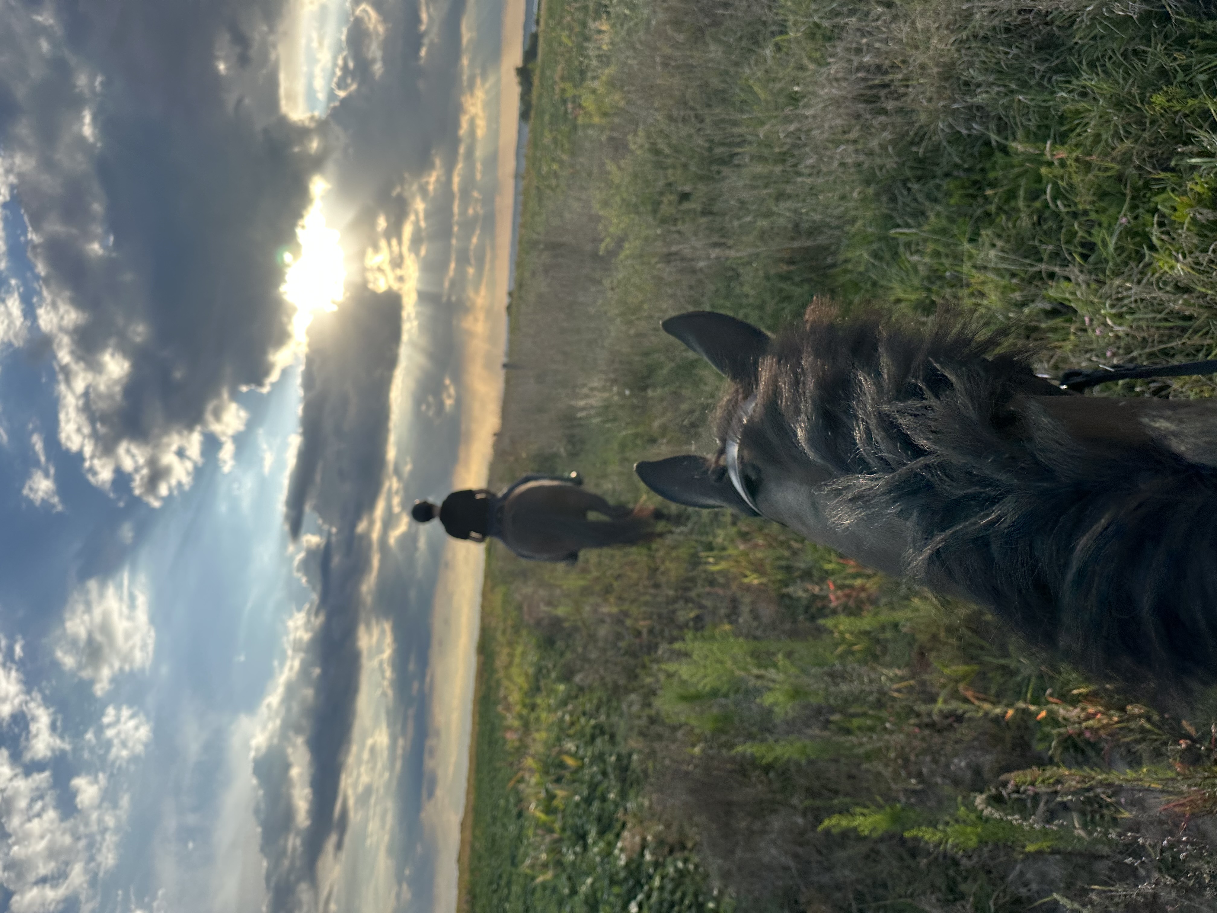 Gorgeous hacking