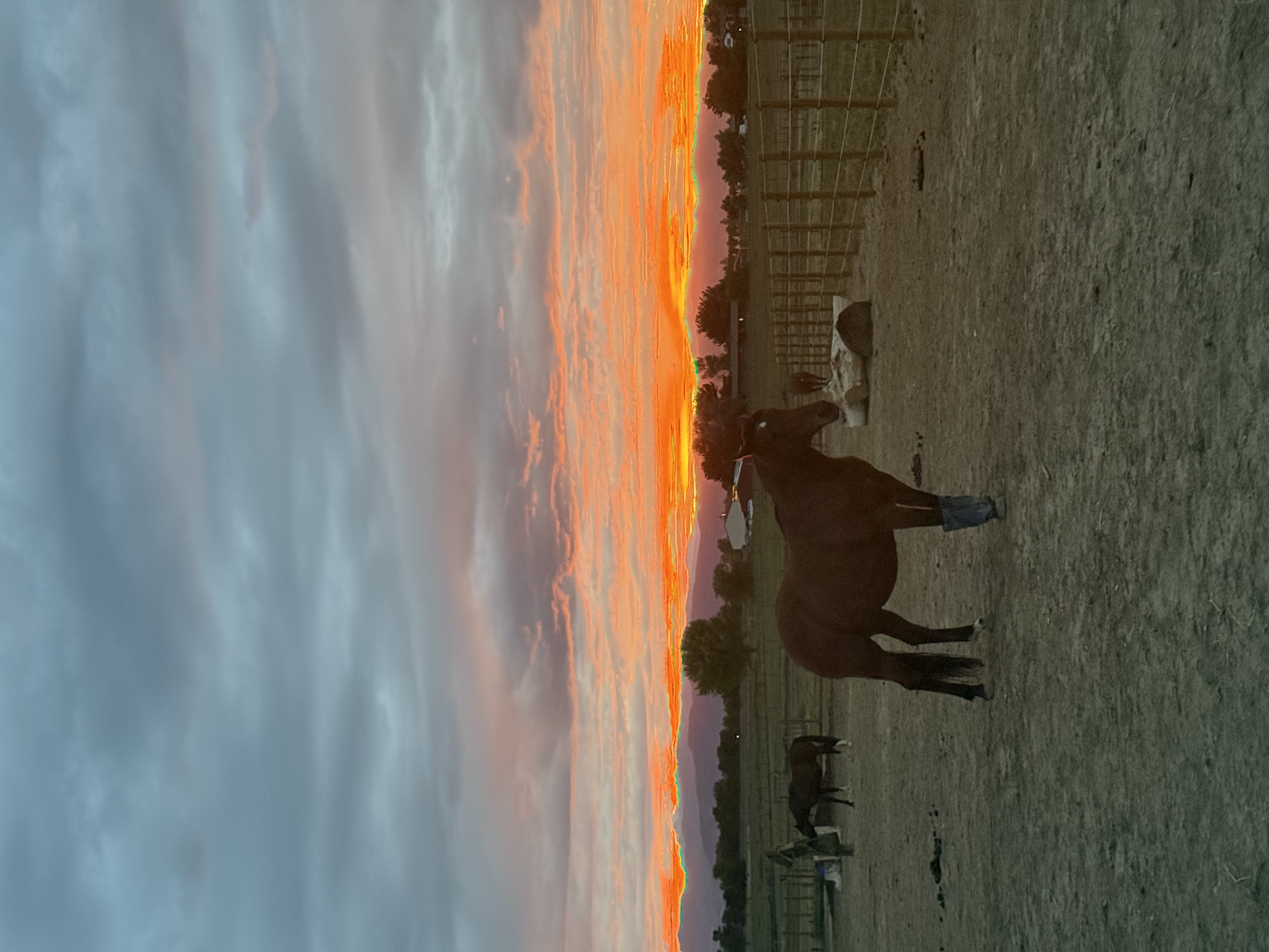 Sunset on the track