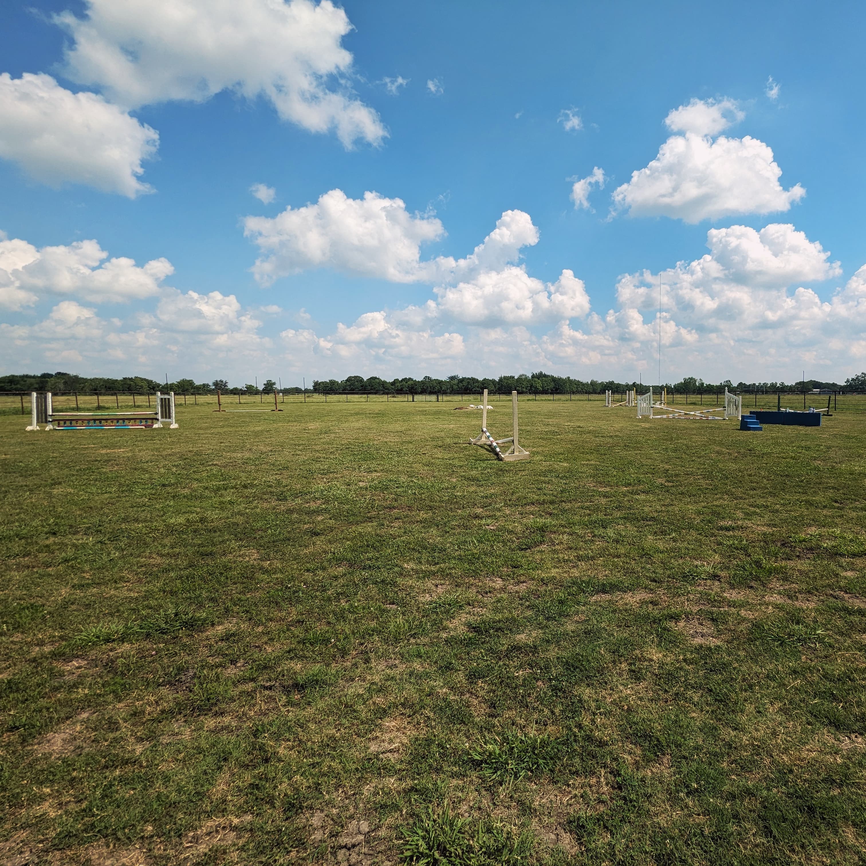 Turf on sand riding arena