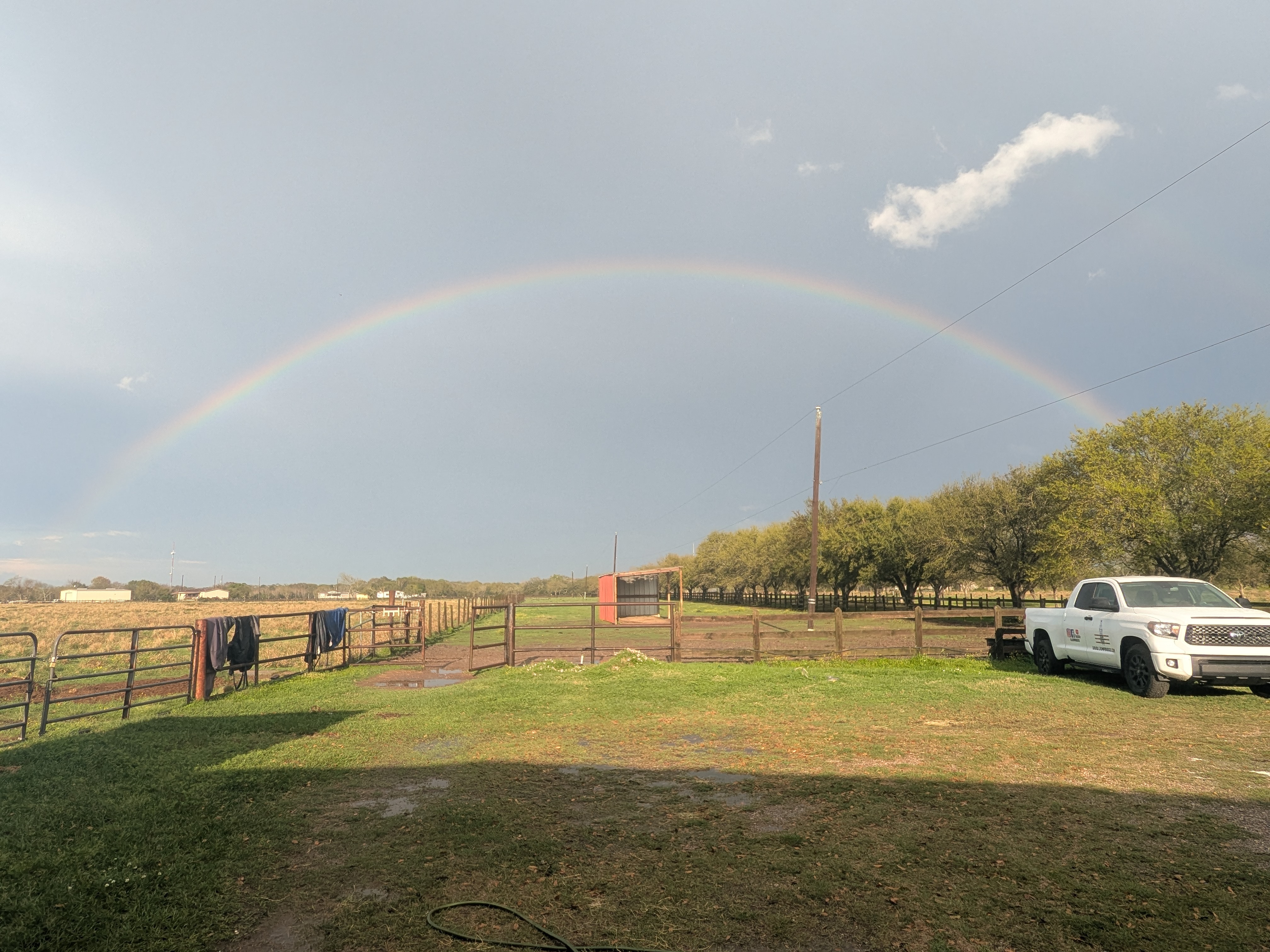 Rainbow