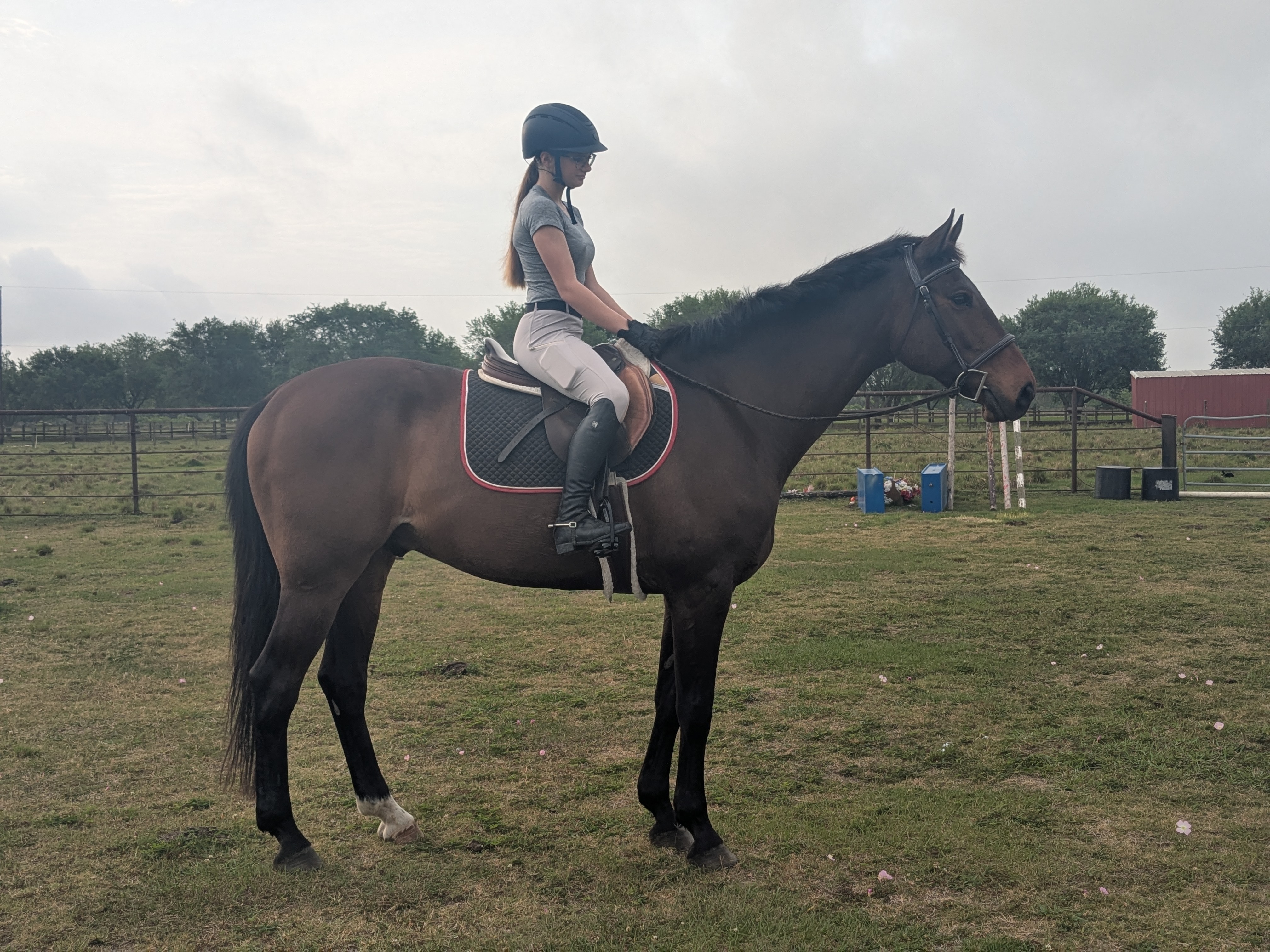 We offer riding lessons, boarding, training, consignment/sales/leases, and a show team.