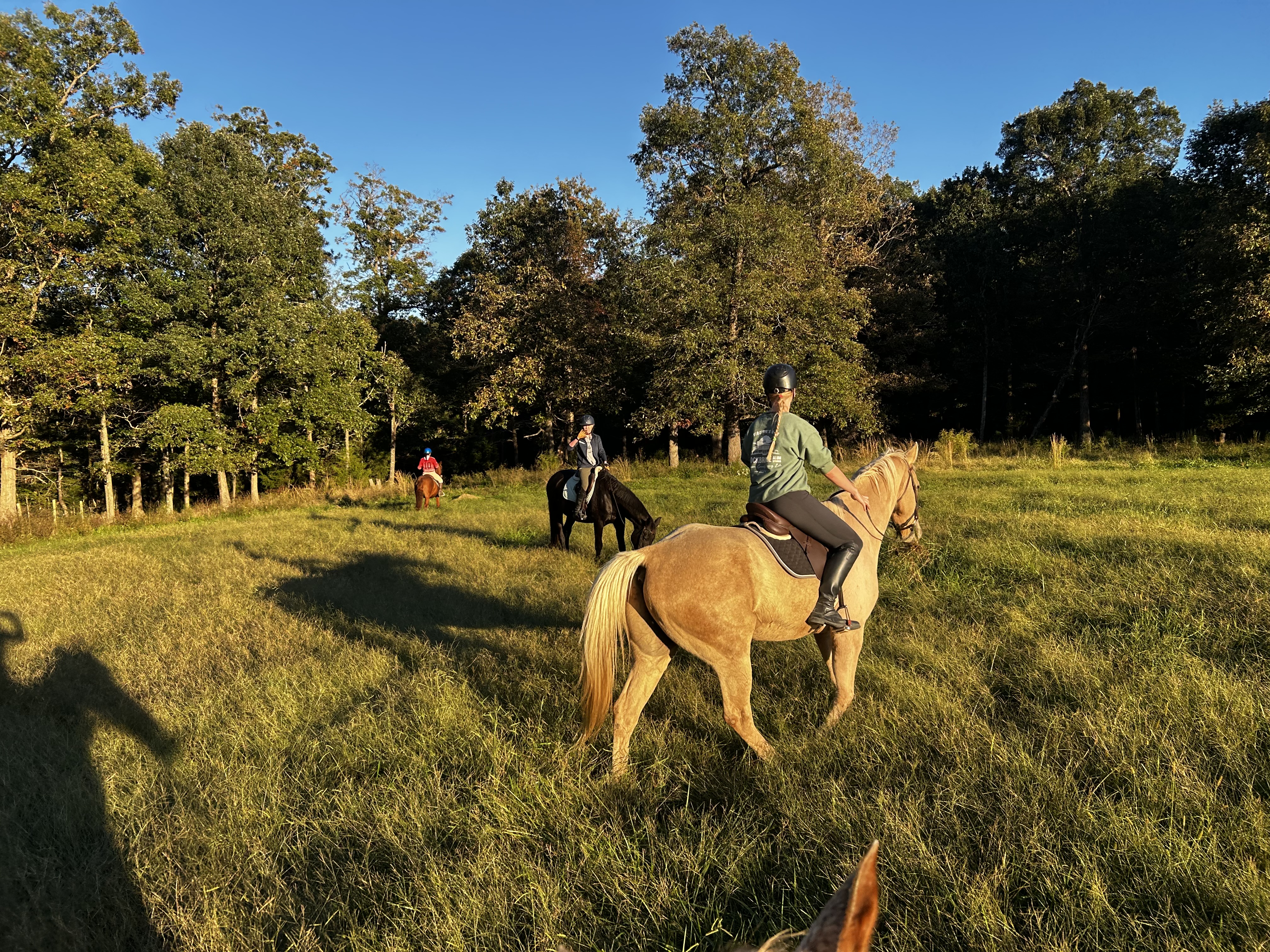 Field ride