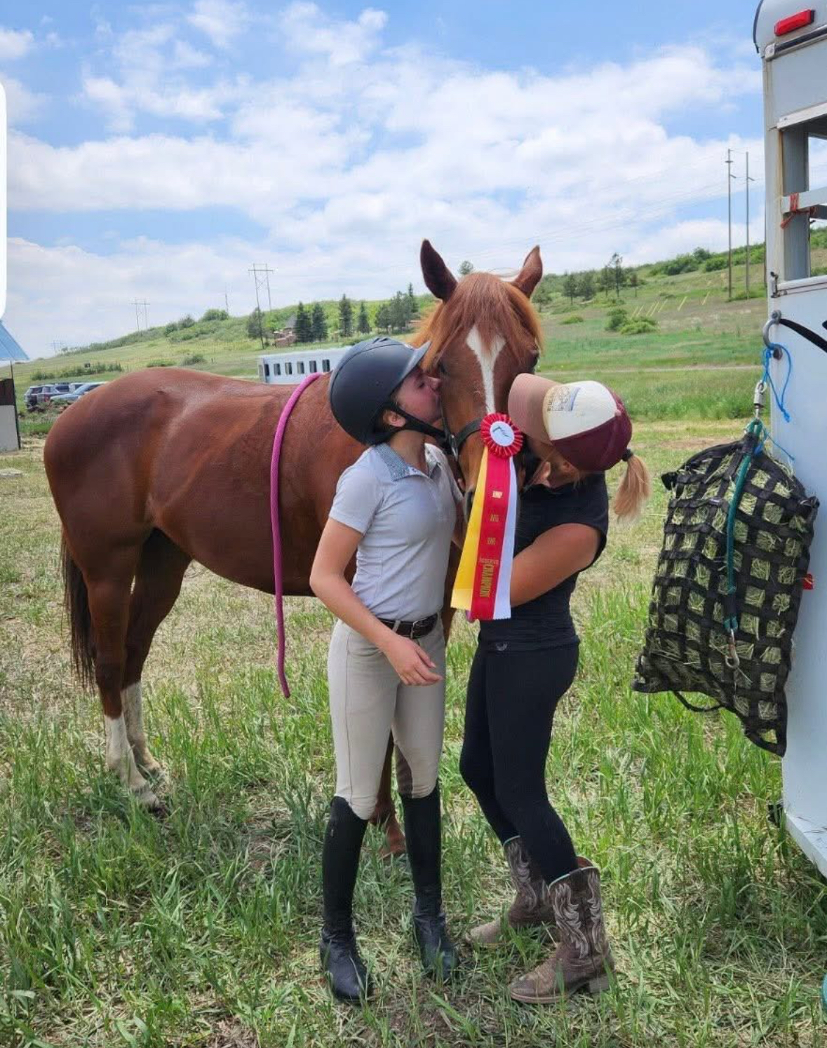 Faithfield Equestrians - H/J Trainer