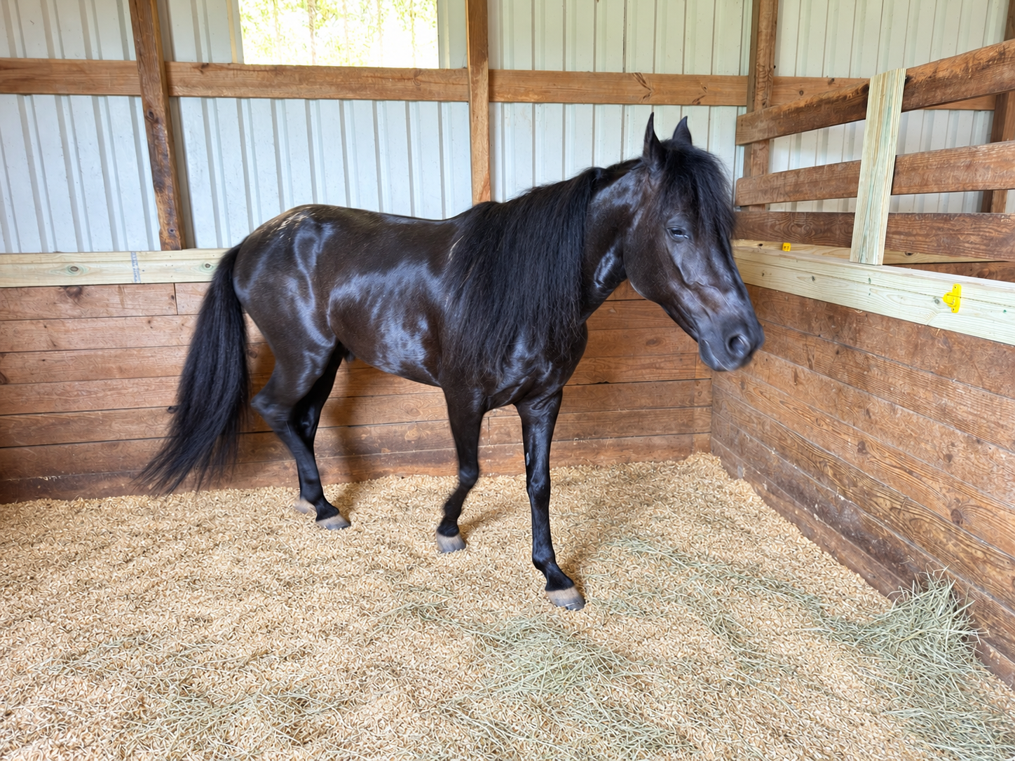 Stall