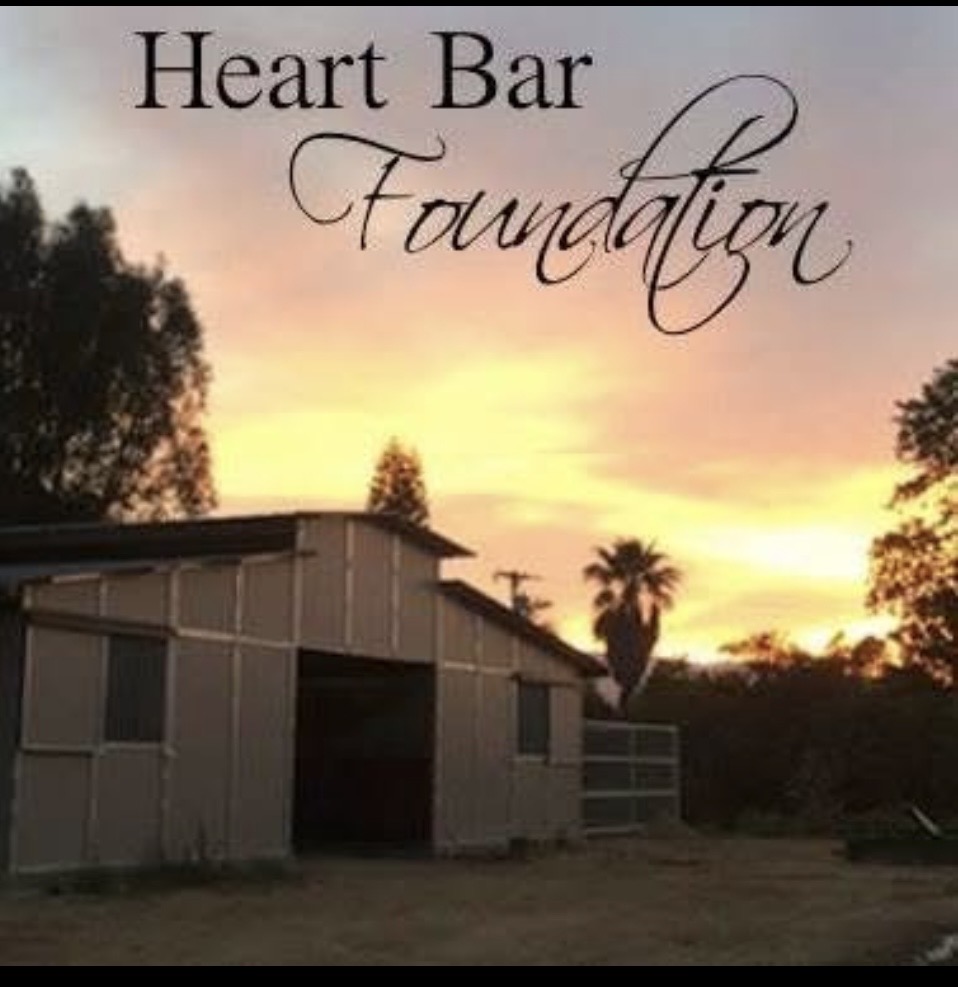 Heart Bar Foundation