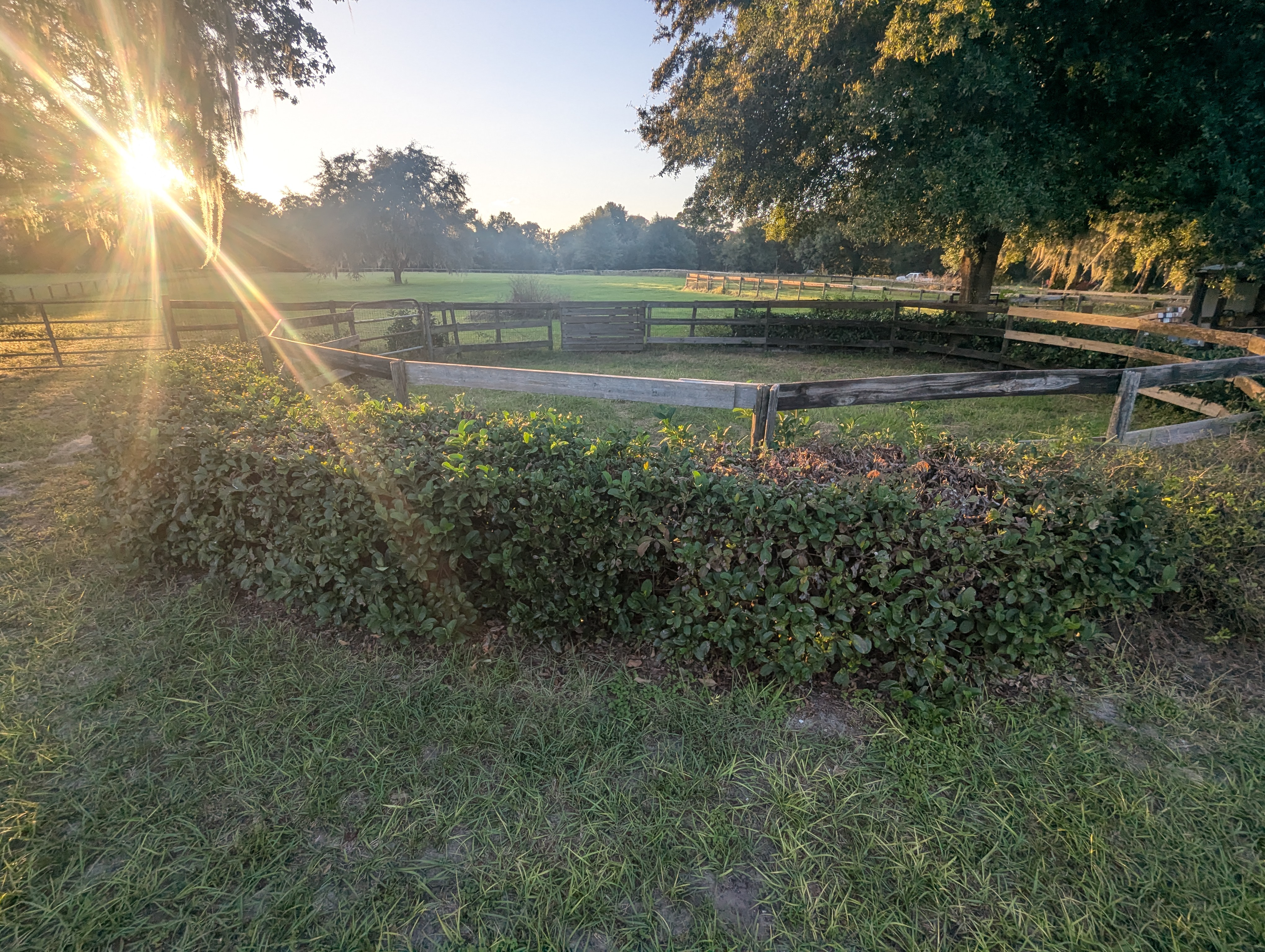 Round pen