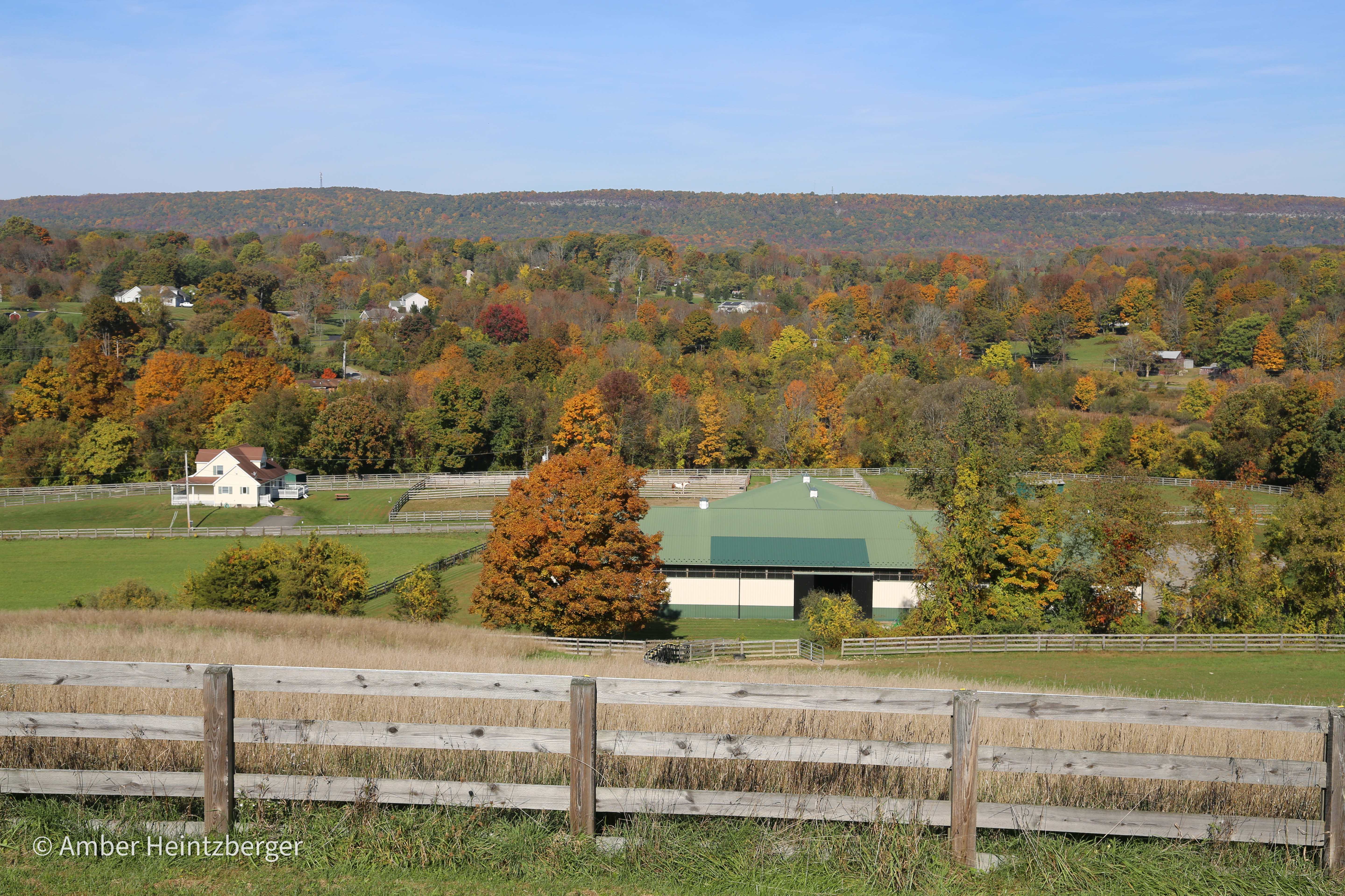 Bayboro