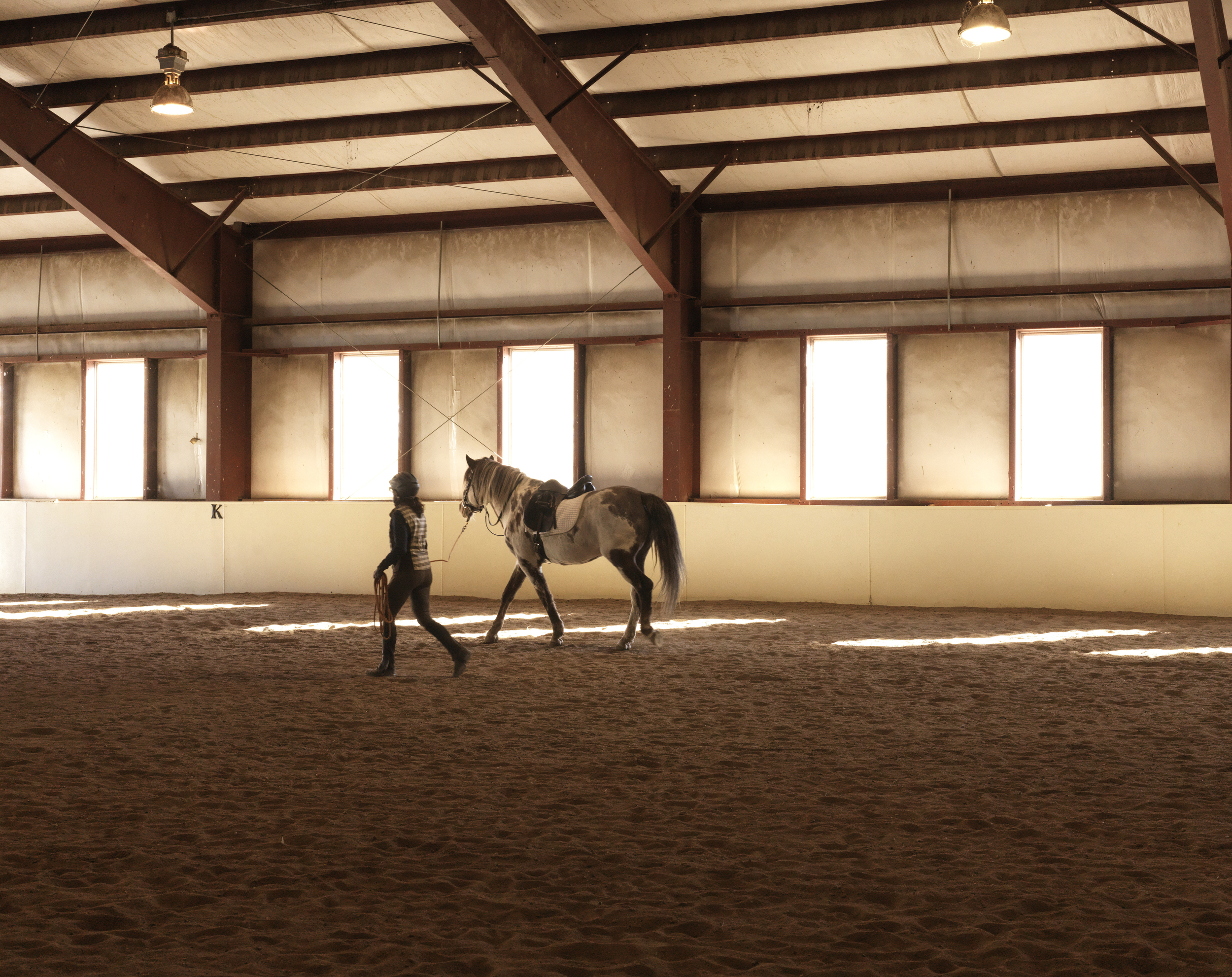 Access to our private indoor arena included in boarding