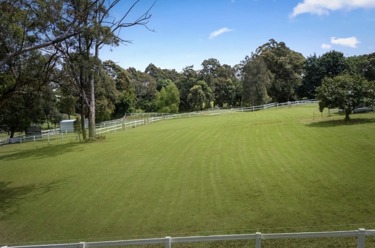 Large grassy paddock
