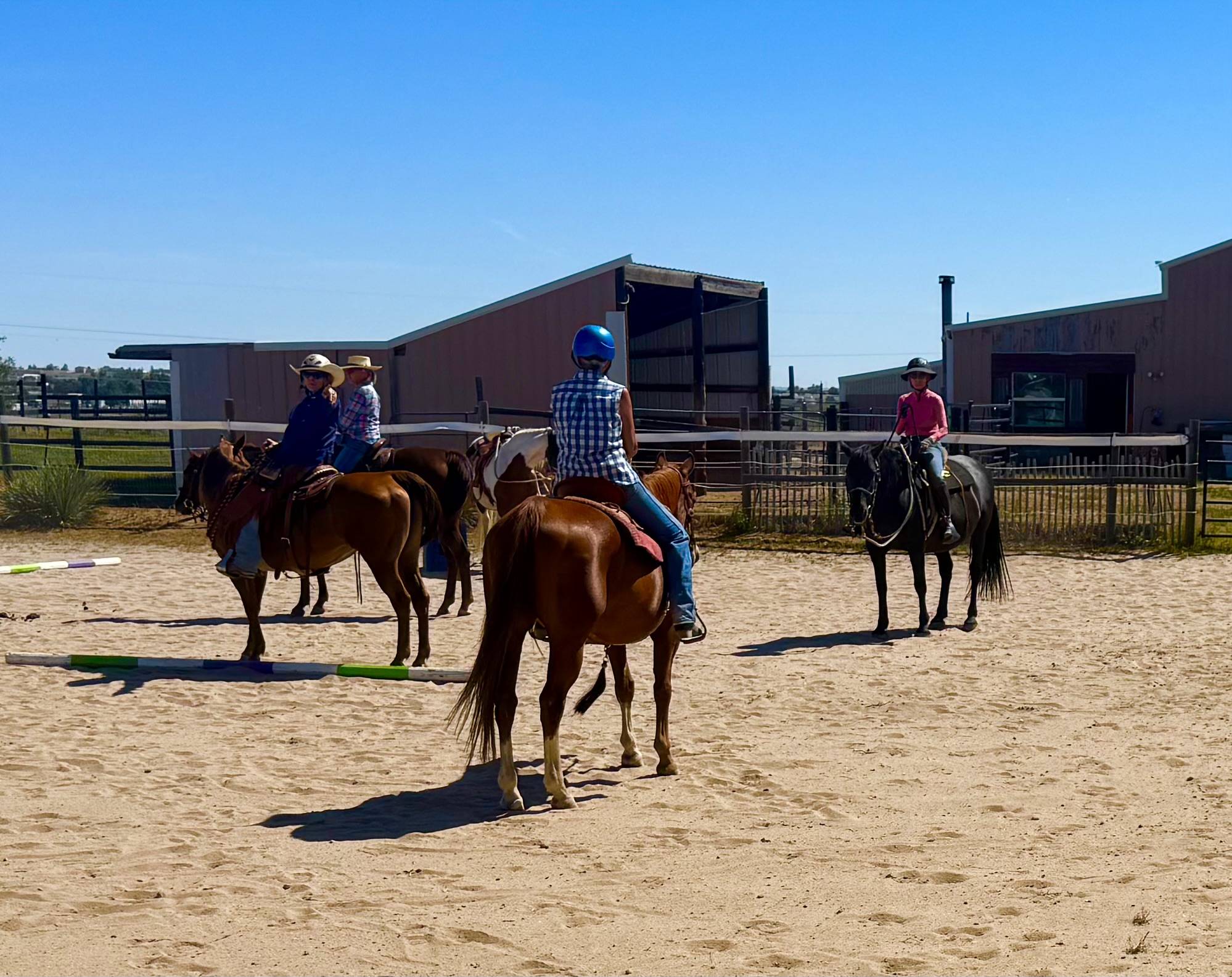 Cowboy Dressage/Soft Feel Horsemanship/Human-Horse Communication