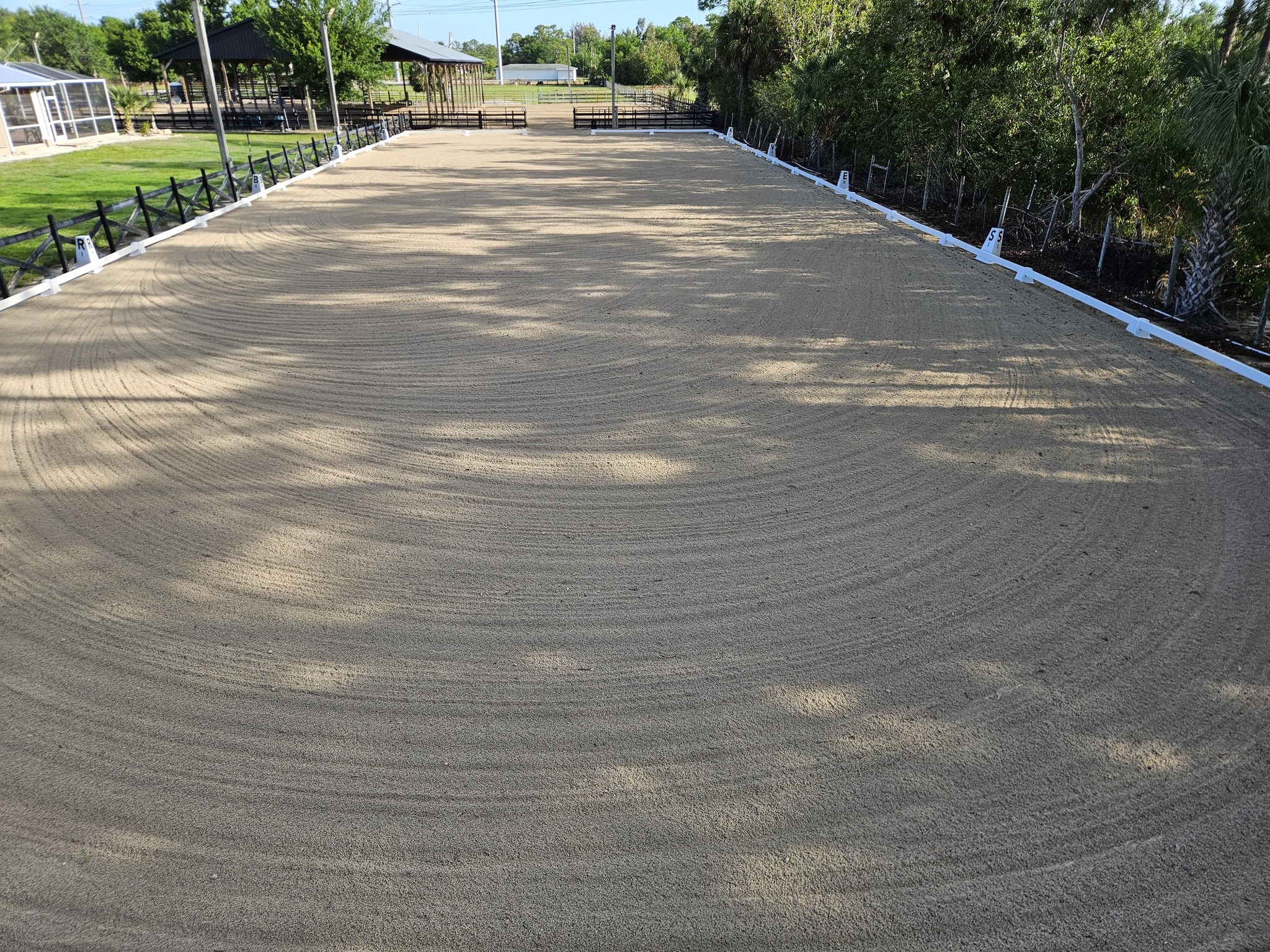 Standard dressage arena