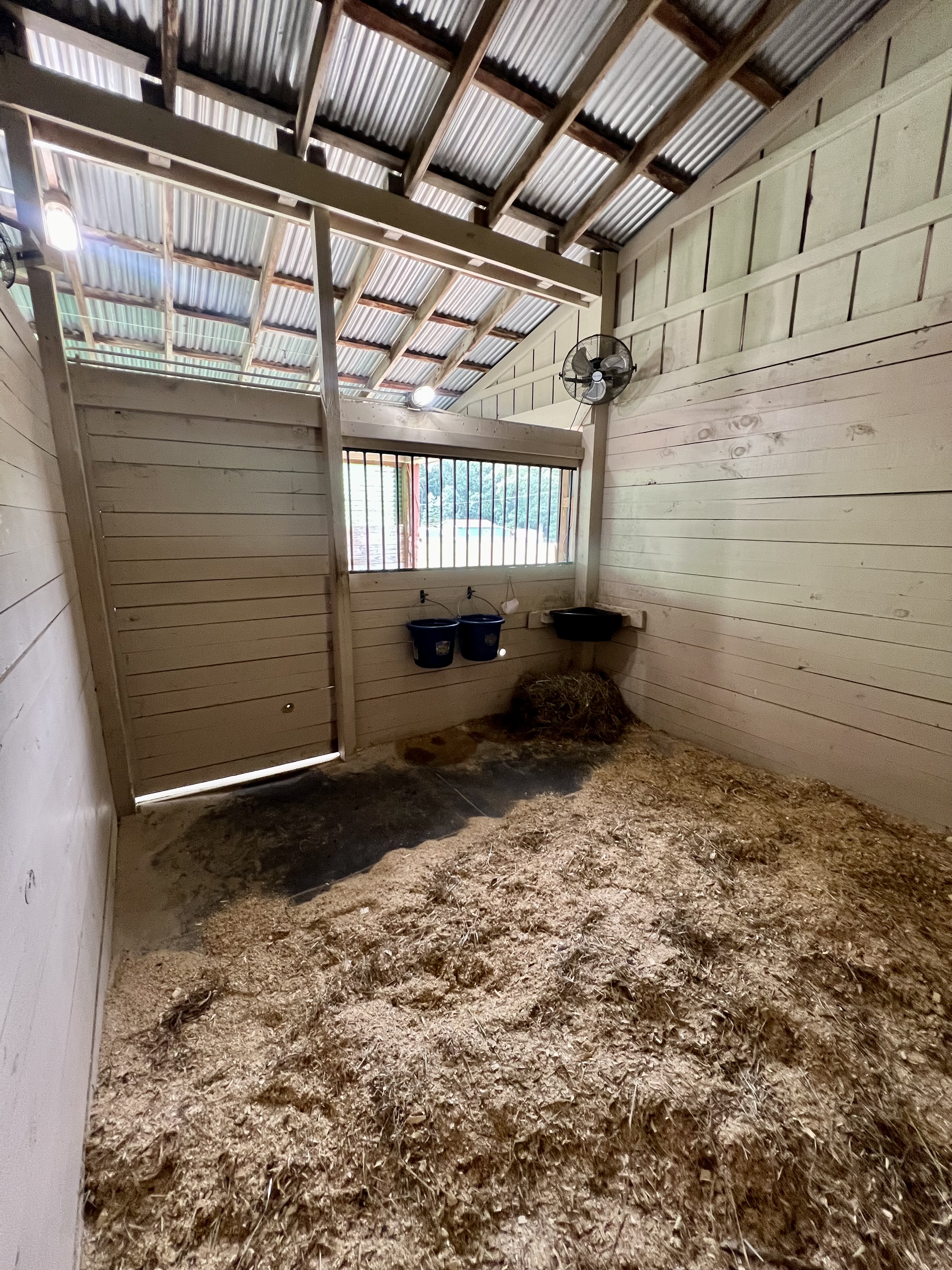 12 x 12 stalls, cleaned daily, bedded heavily, free choice hay