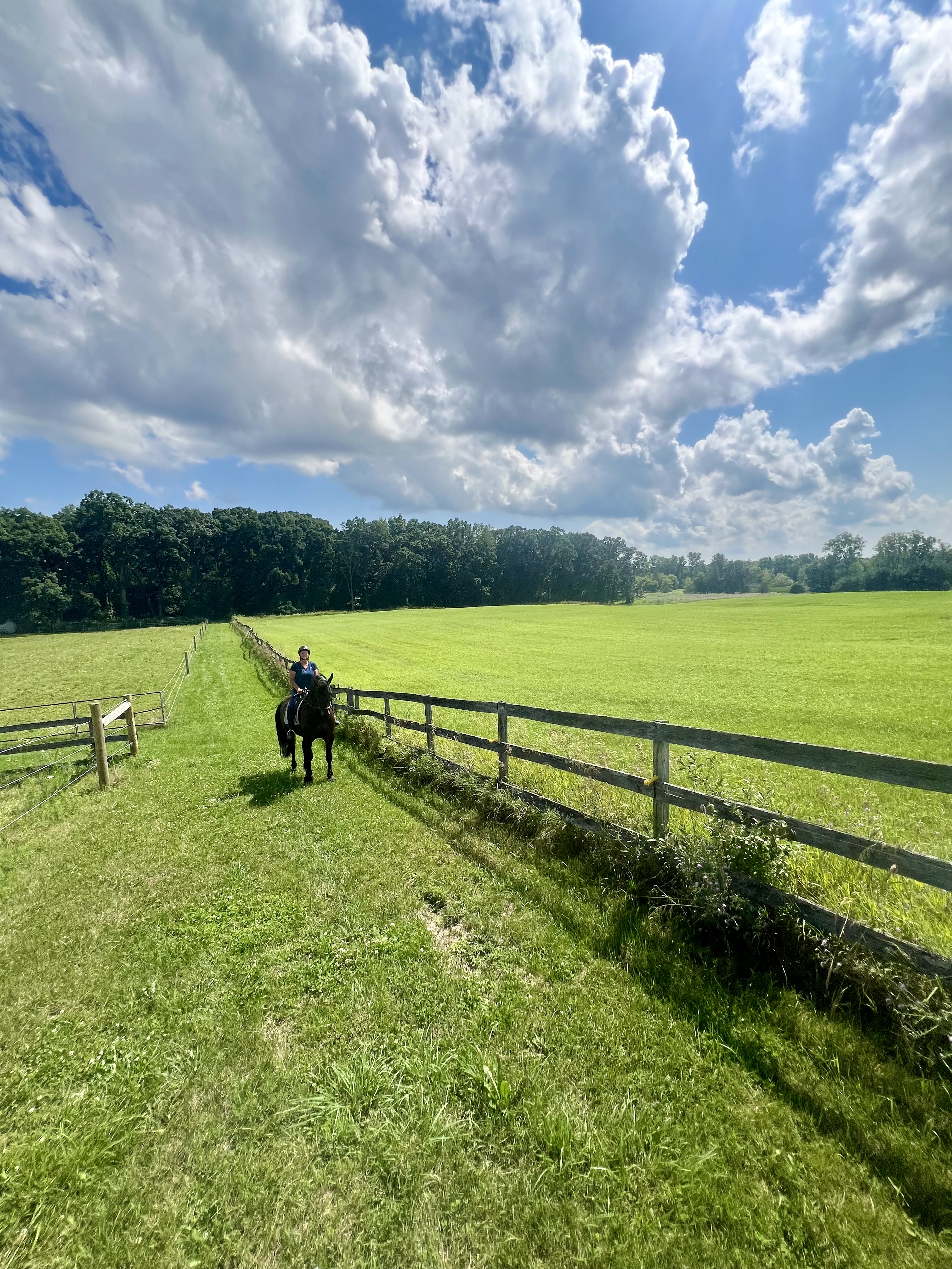 Bridle path