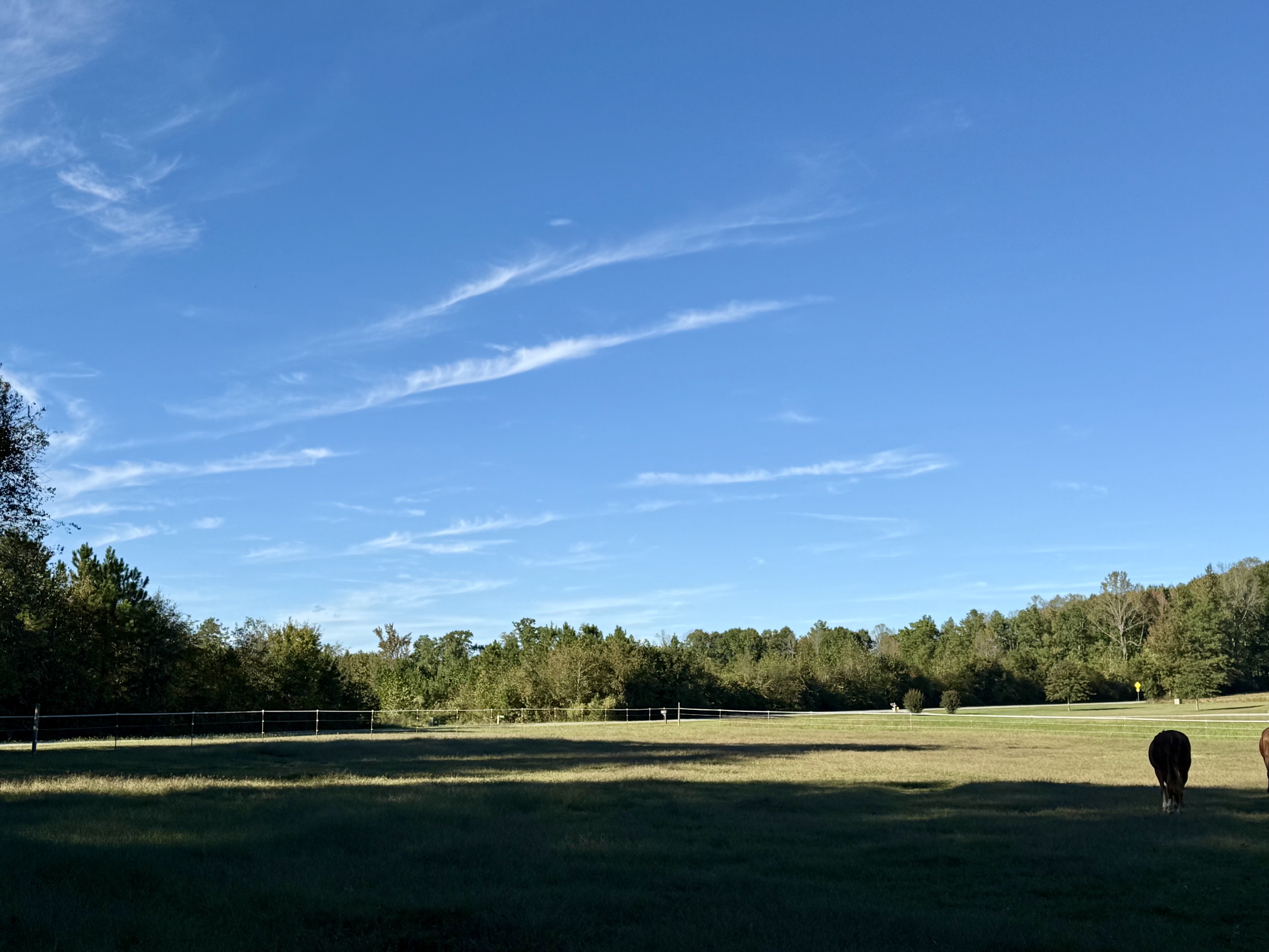 Field