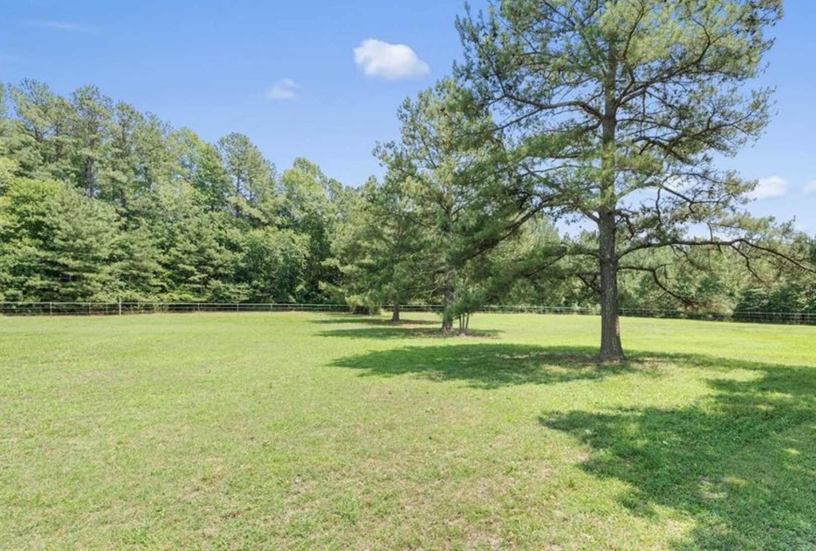 Field