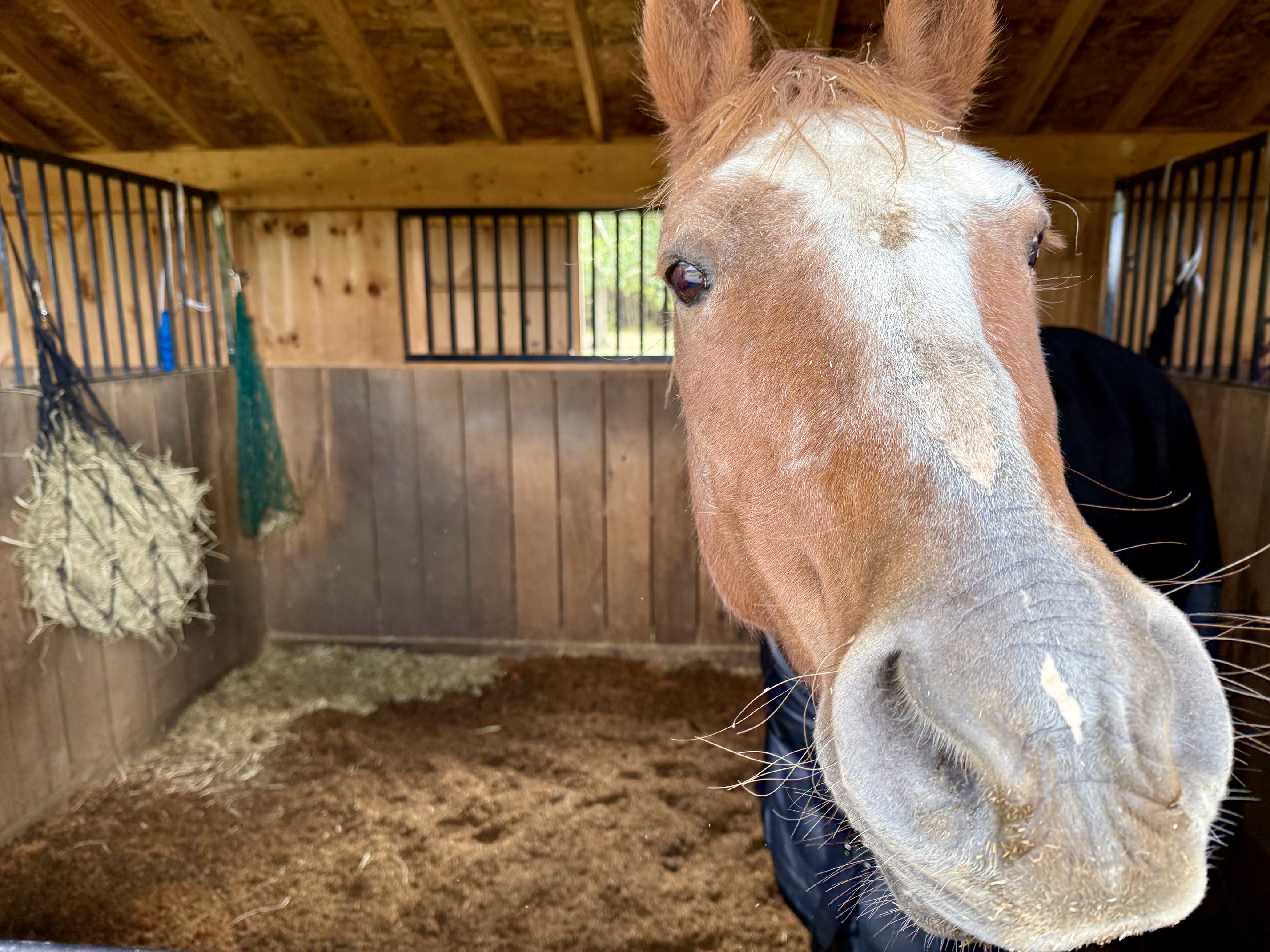 Stall