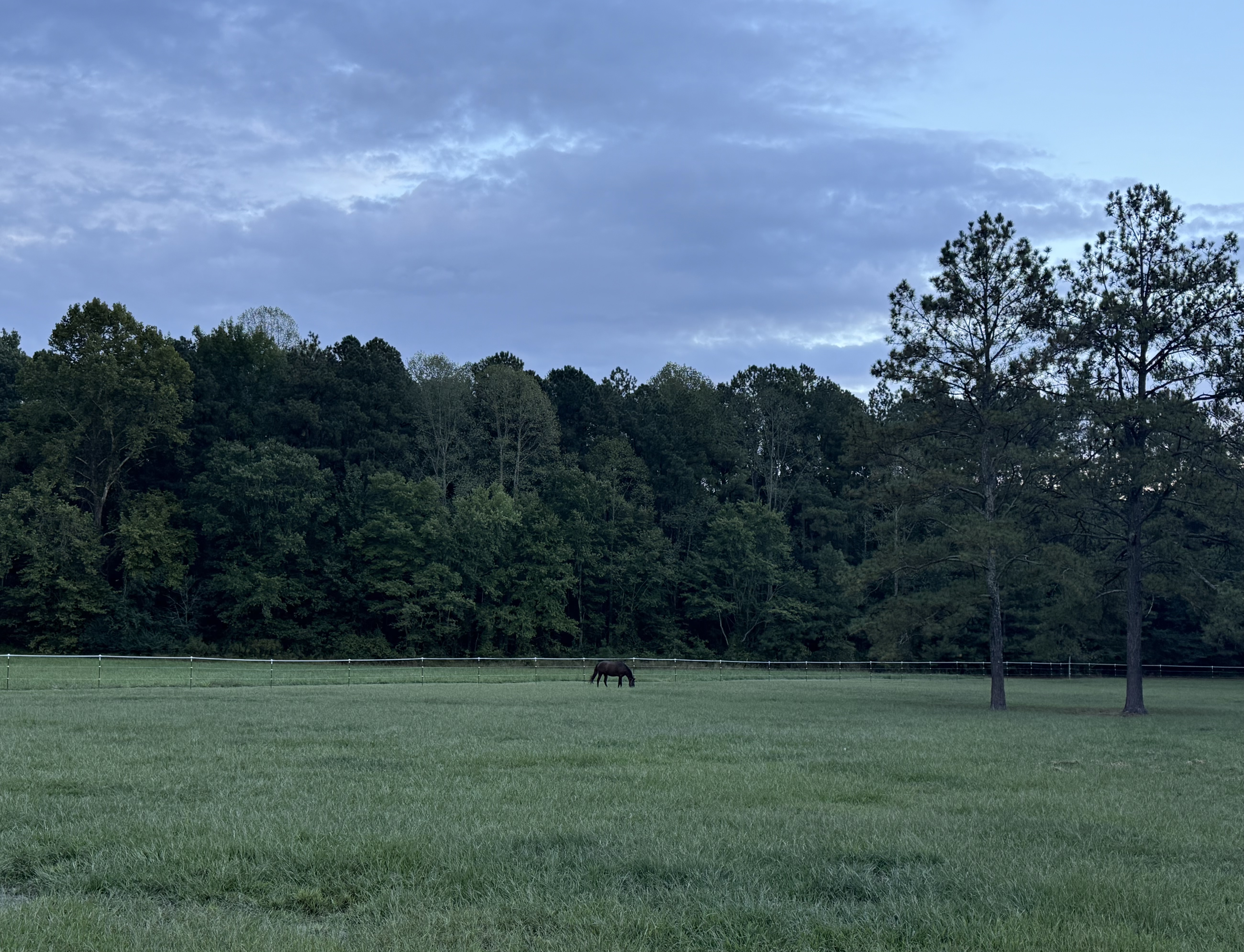 Field View