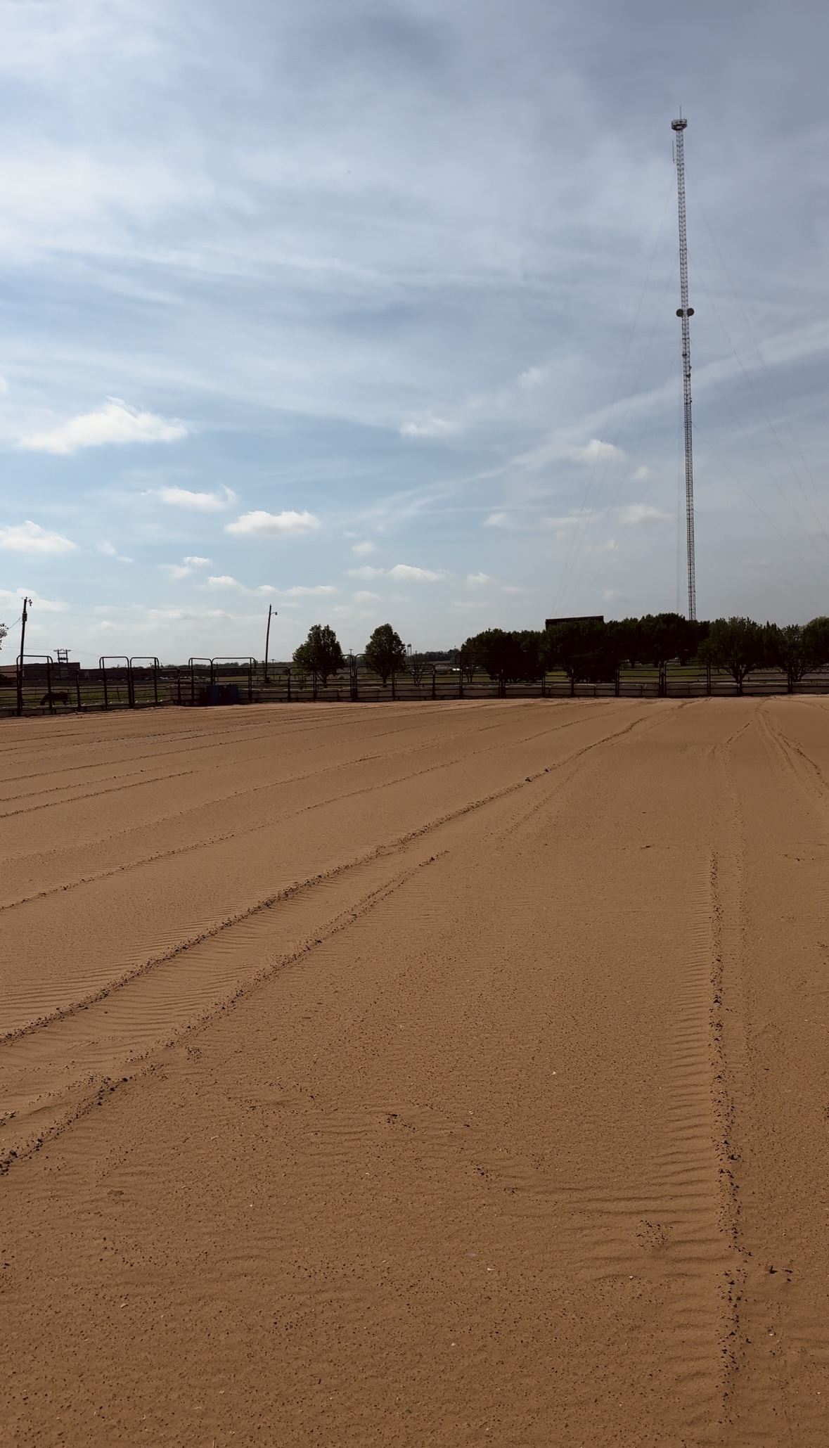 Outdoor Arena